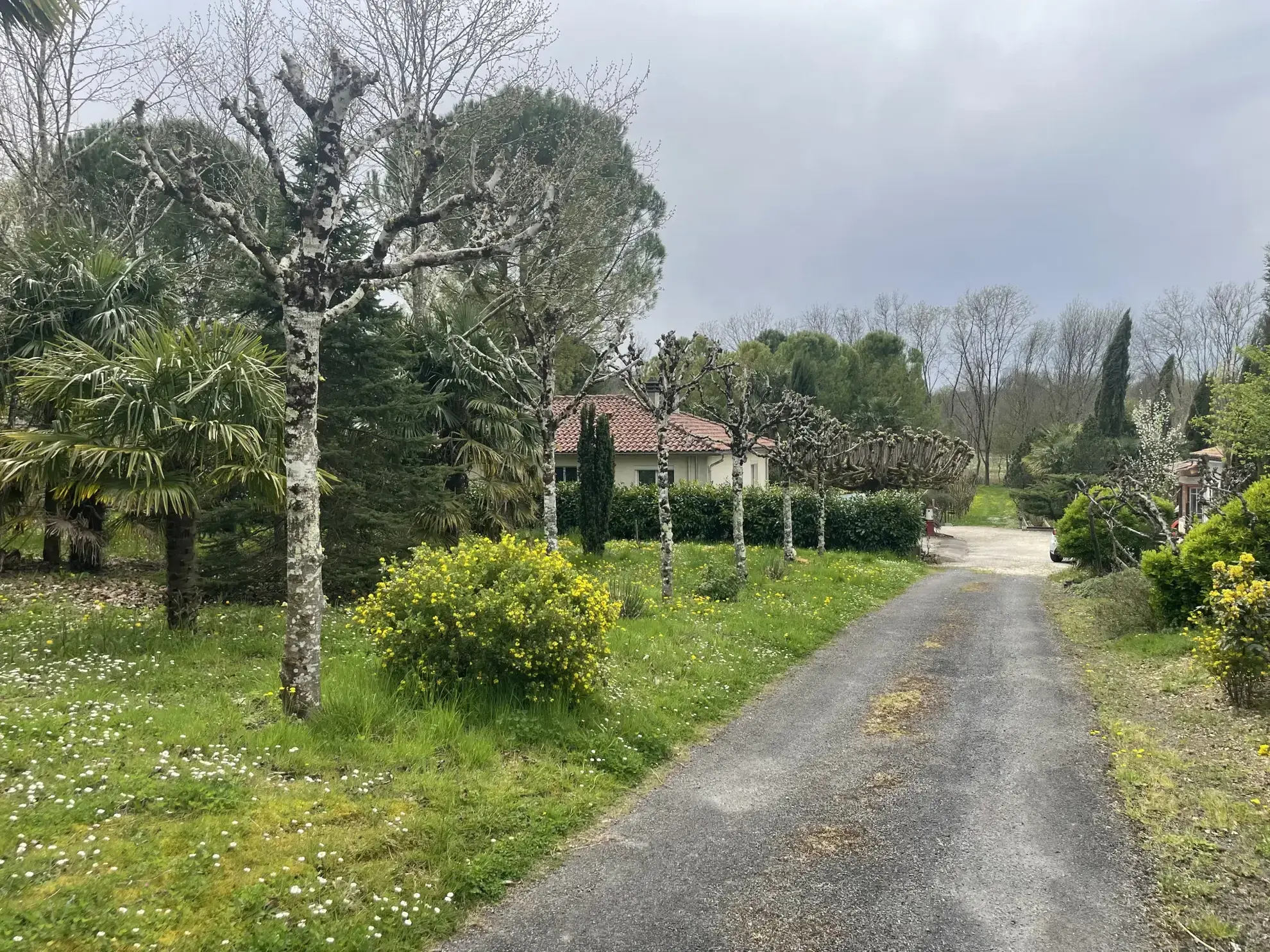 Maison avec dépendances et parc arboré à Cherves Richemont, pour vivre à la campagne 