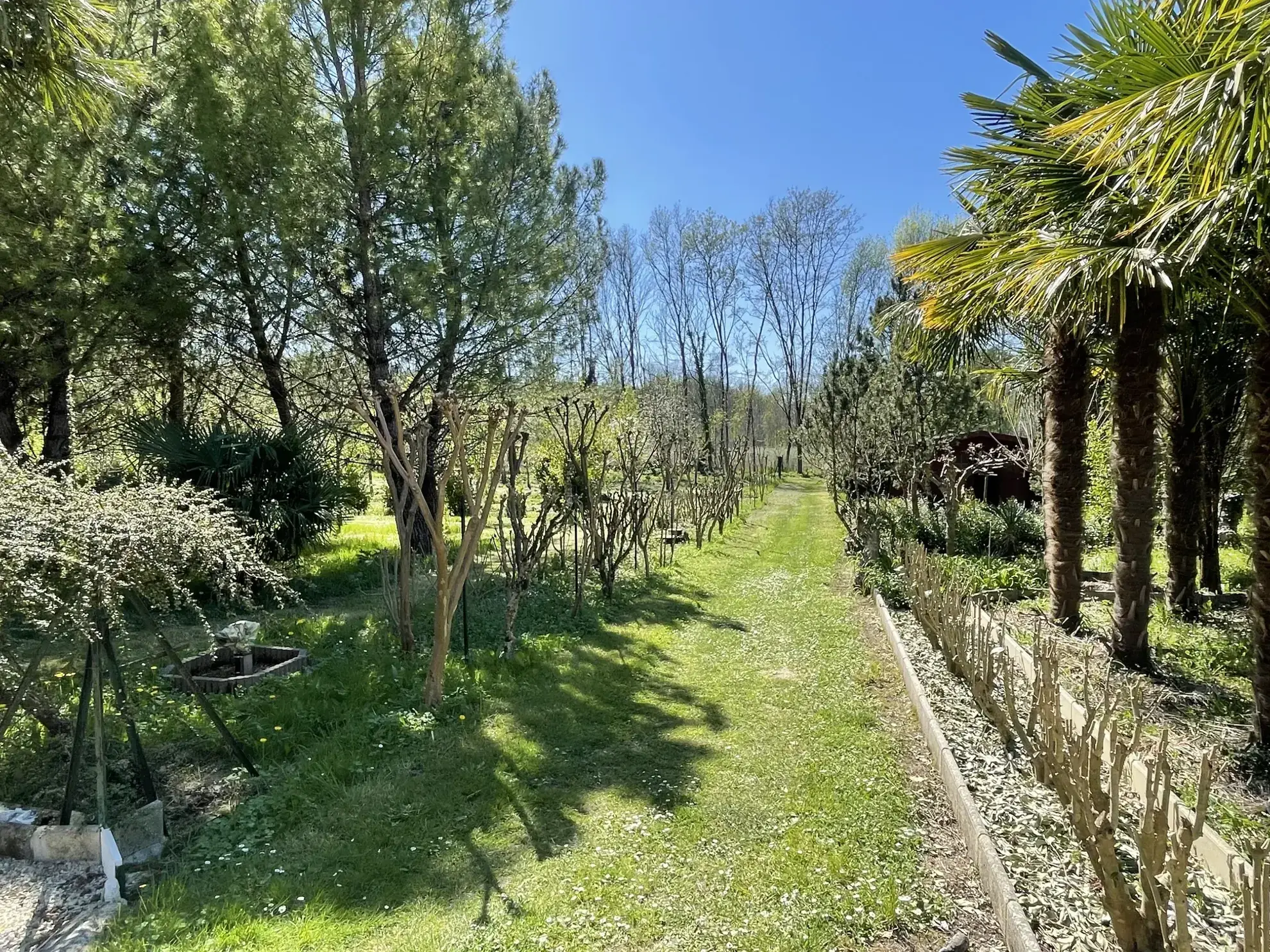 Maison avec dépendances et parc arboré à Cherves Richemont, pour vivre à la campagne 