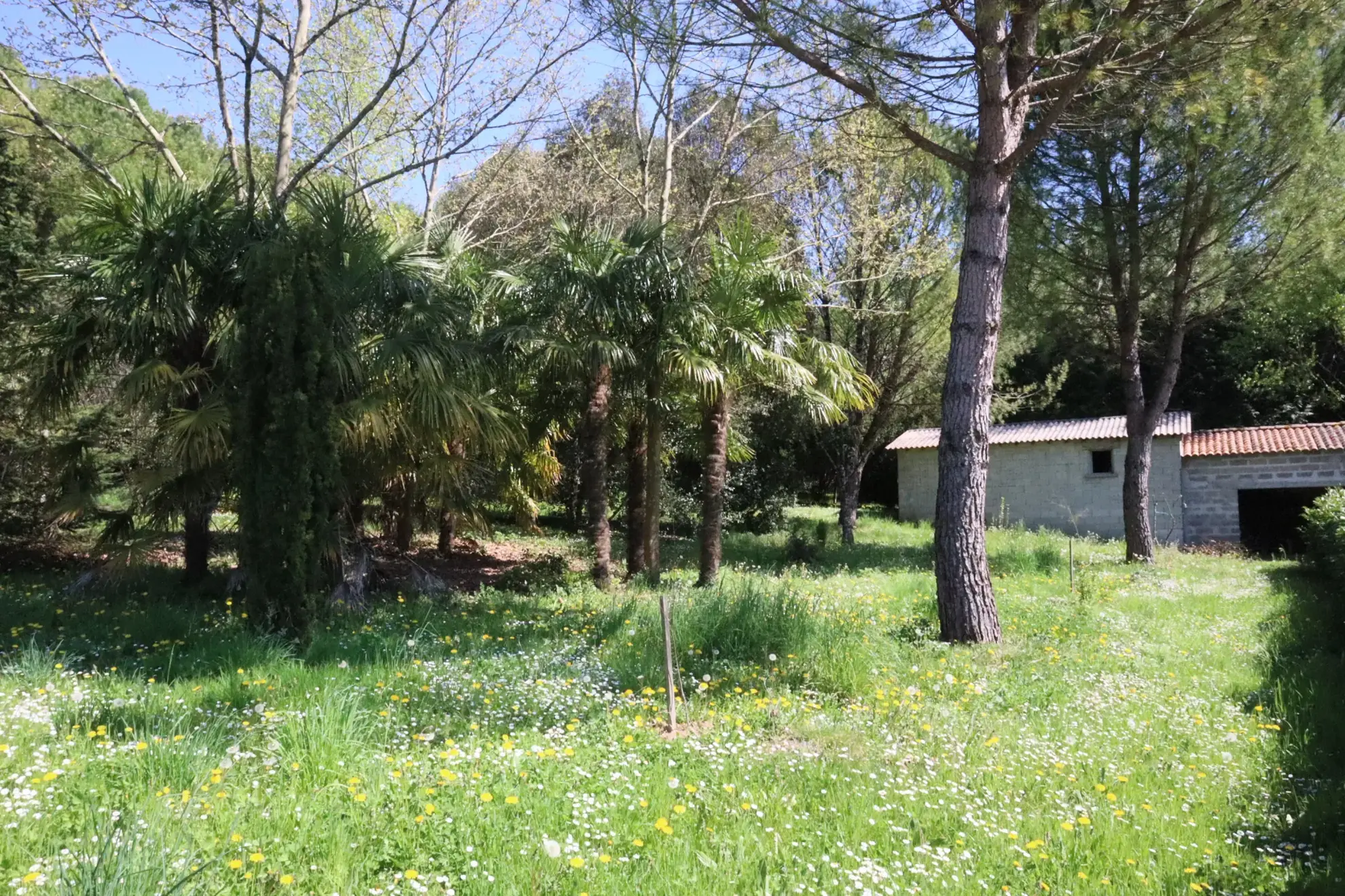 Maison avec dépendances et parc arboré à Cherves Richemont, pour vivre à la campagne 