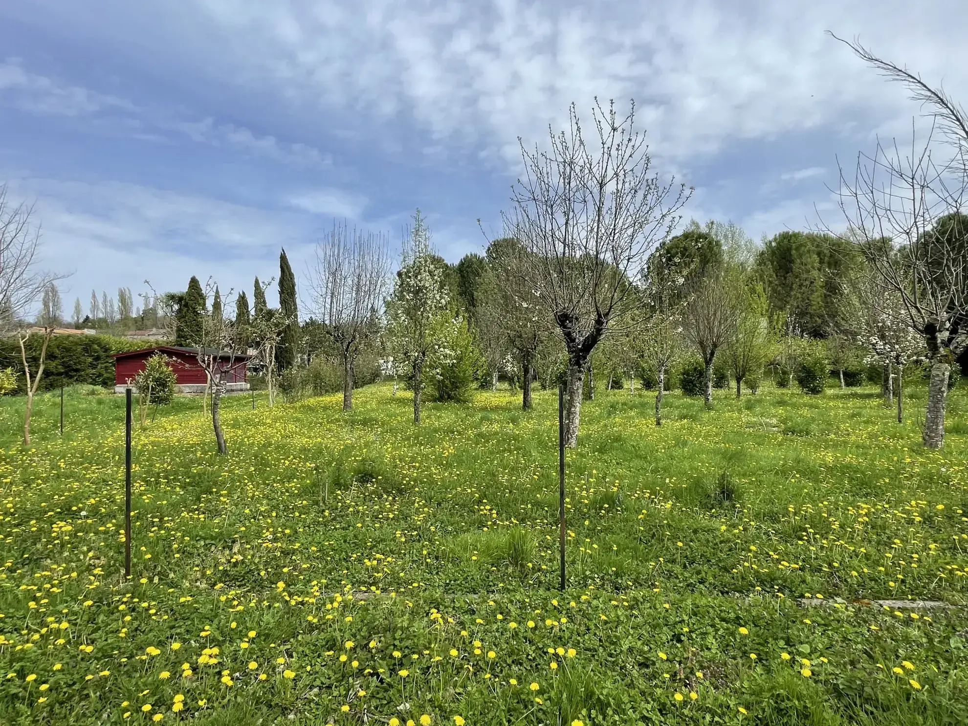 Maison avec dépendances et parc arboré à Cherves Richemont, pour vivre à la campagne 