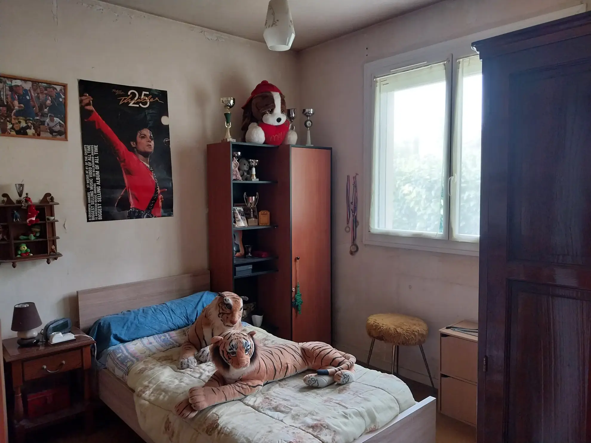 Maison avec dépendances et parc arboré à Cherves Richemont, pour vivre à la campagne 