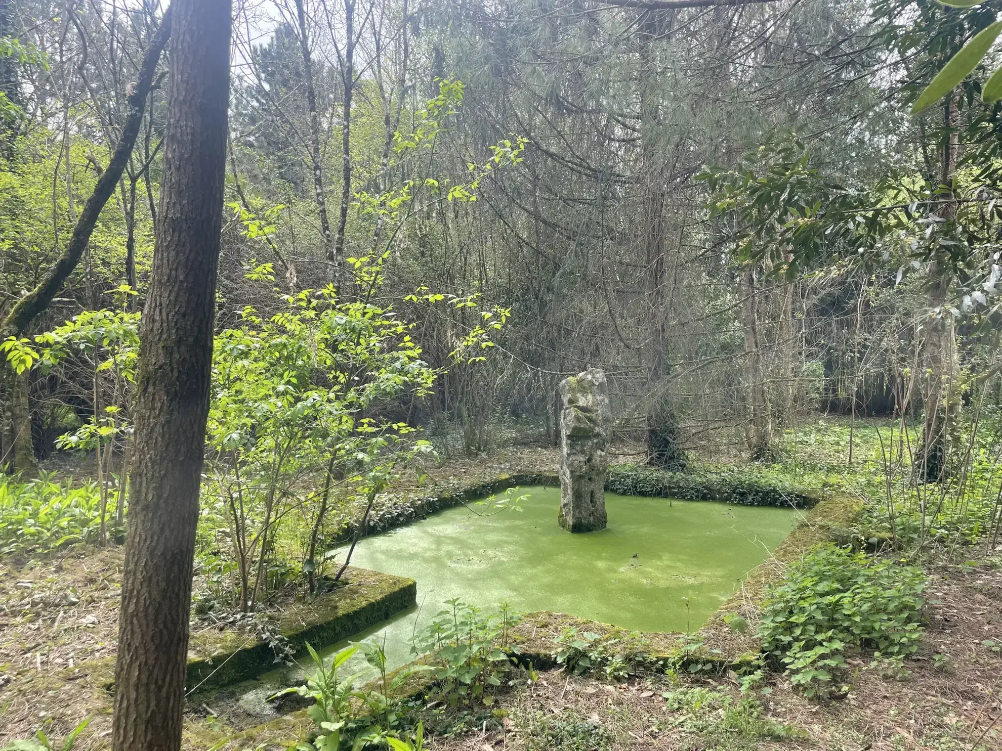 Maison avec dépendances et parc arboré à Cherves Richemont, pour vivre à la campagne 