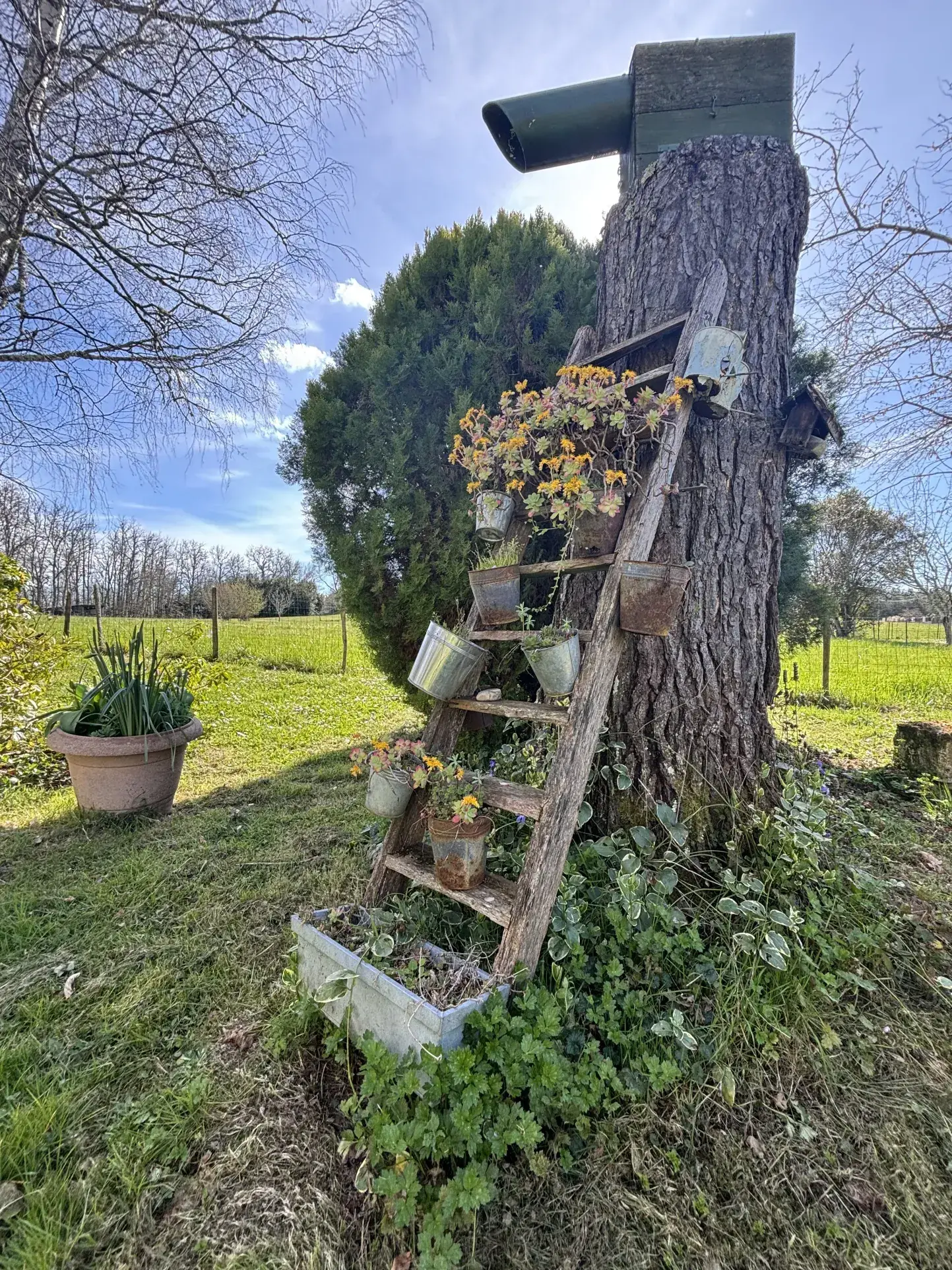 Maison en pierre de 120m² avec terrain arboré à Bonzac, Dordogne 