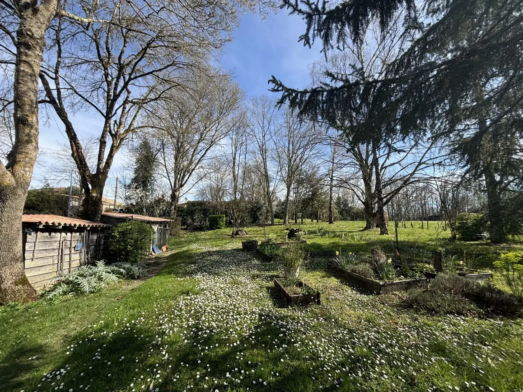 Maison en pierre de 120m² avec terrain arboré à Bonzac, Dordogne 