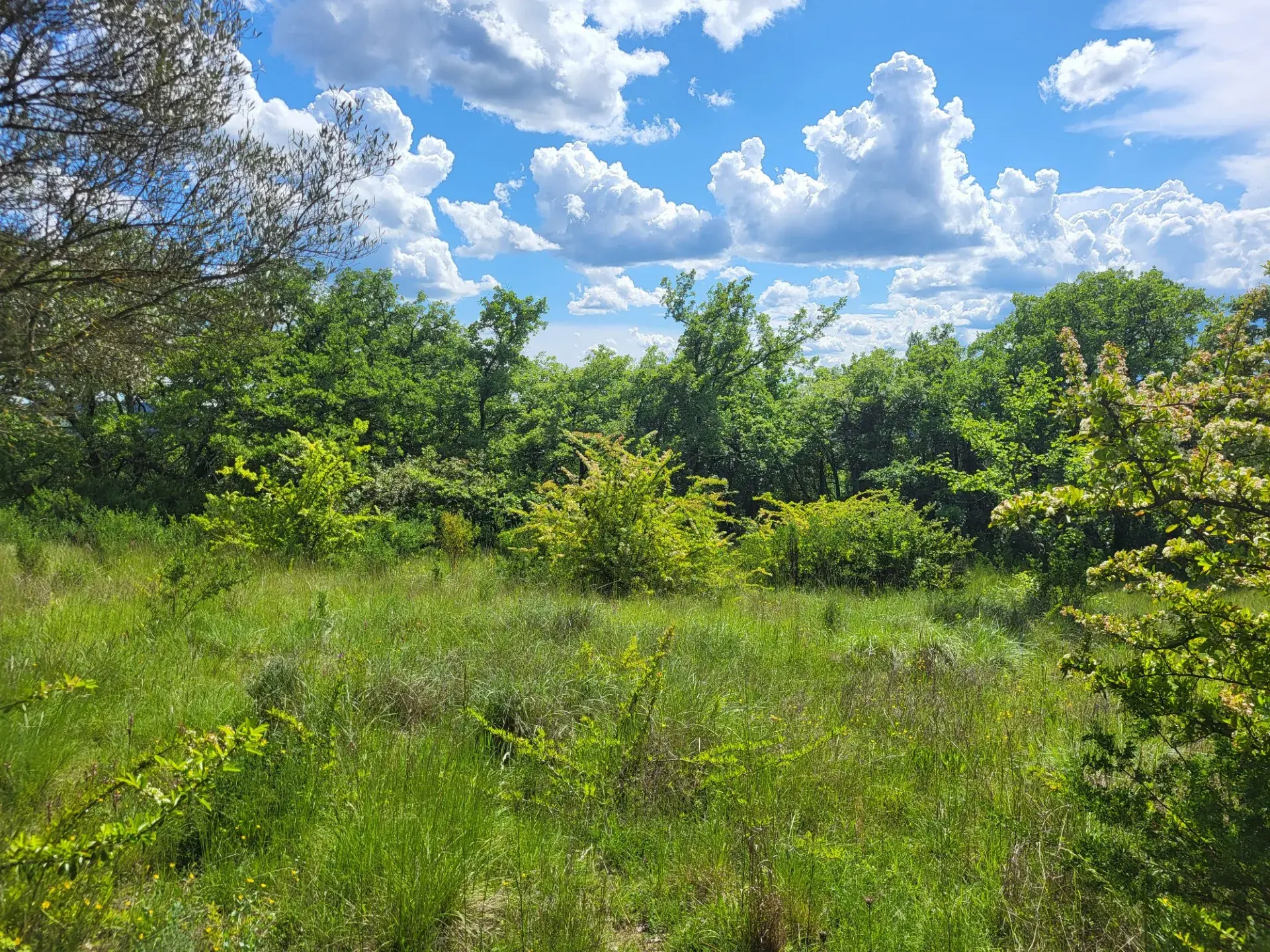 Terrain constructible de 1300m² à Ners, calme et libre de constructeur