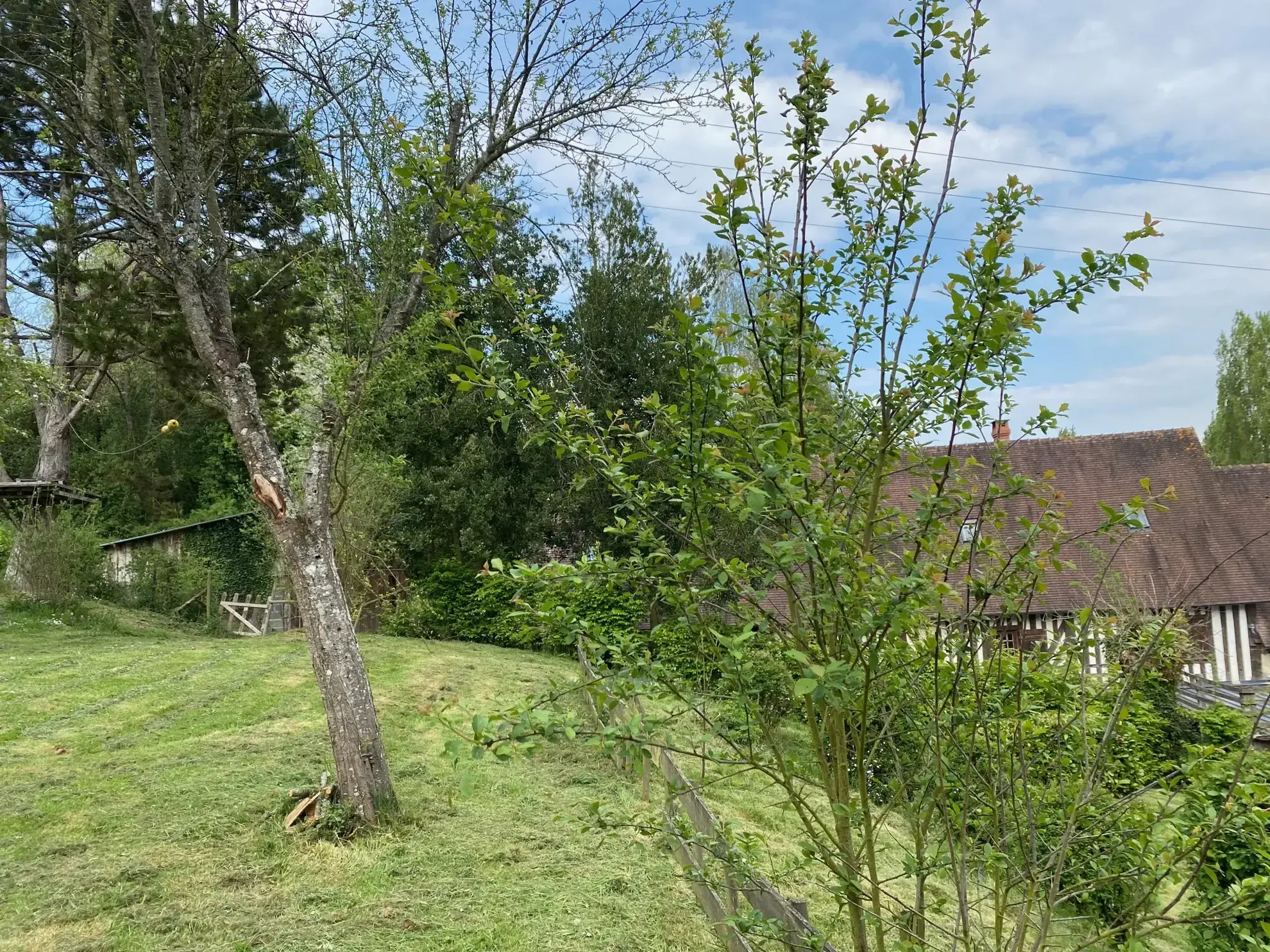 Maison de caractère avec terrain et vue dégagée à Guérquesalles 