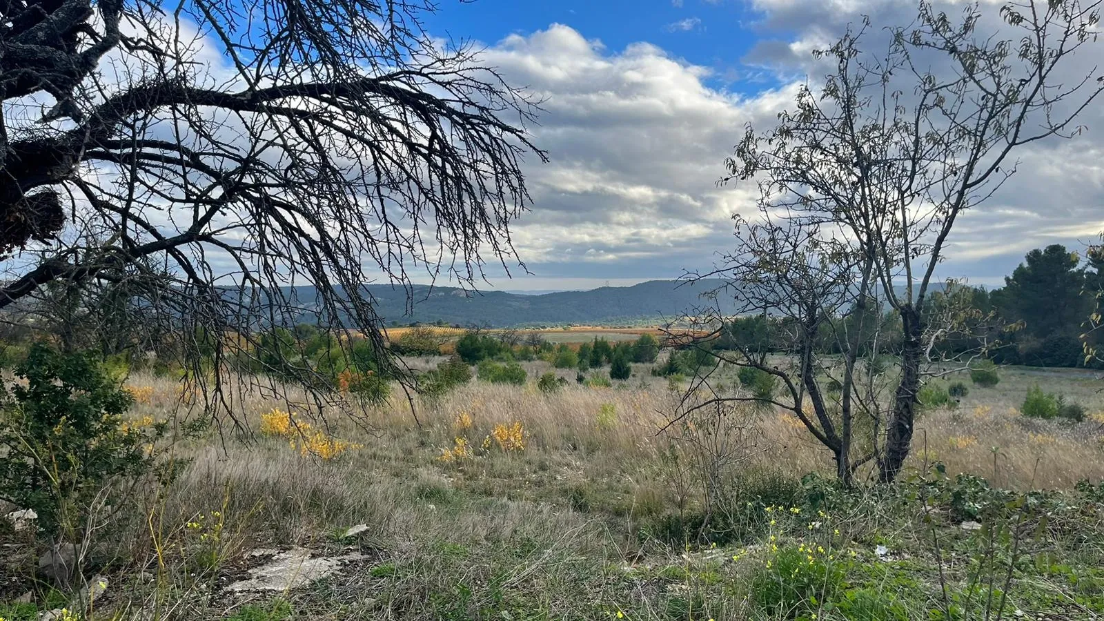 Maison vigneronne rénovée avec grand terrain à Aigues Vives 
