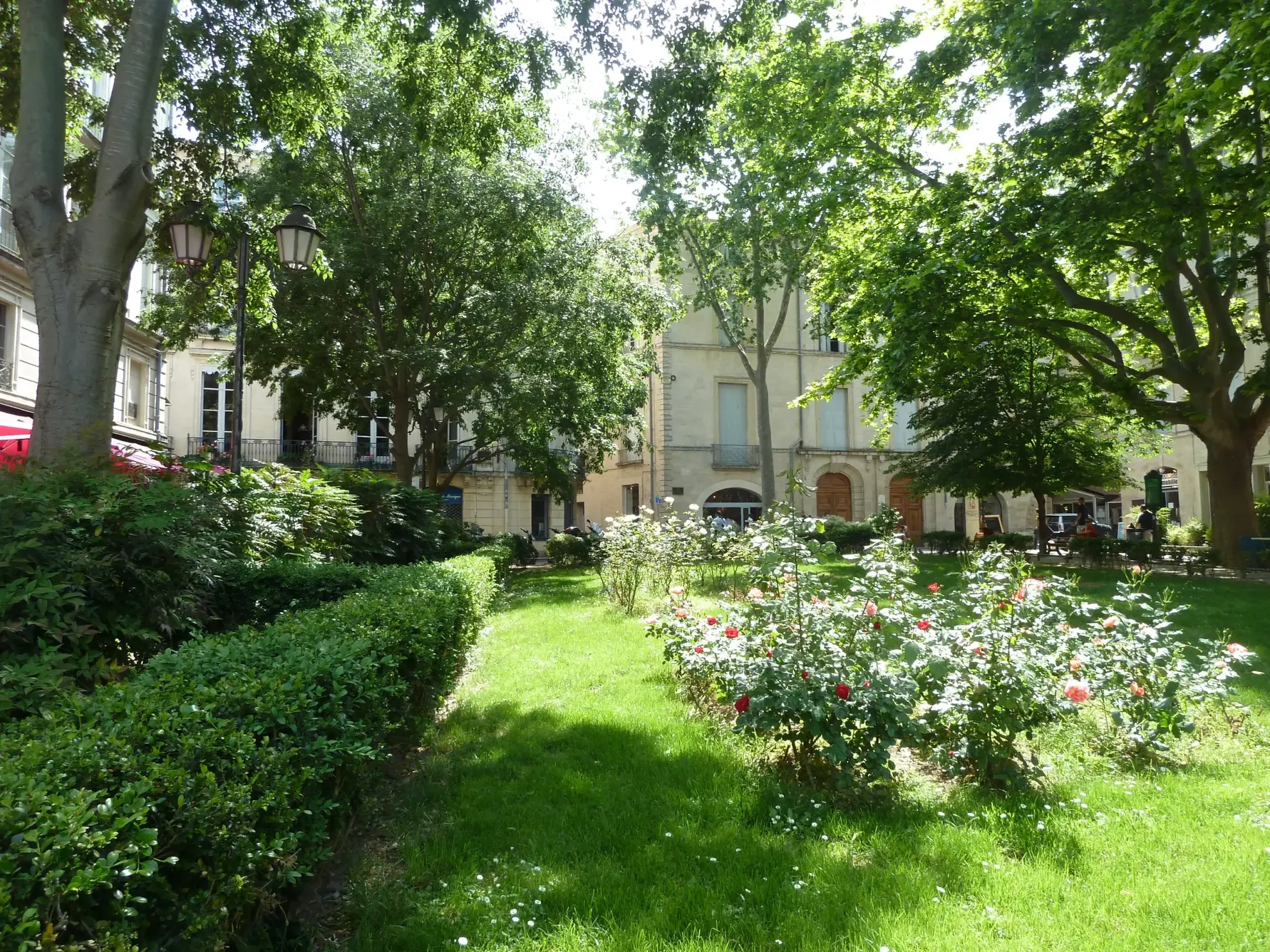 Appartement professionnel de 70 m² à Montpellier Écusson - Idéal pour profession libérale 