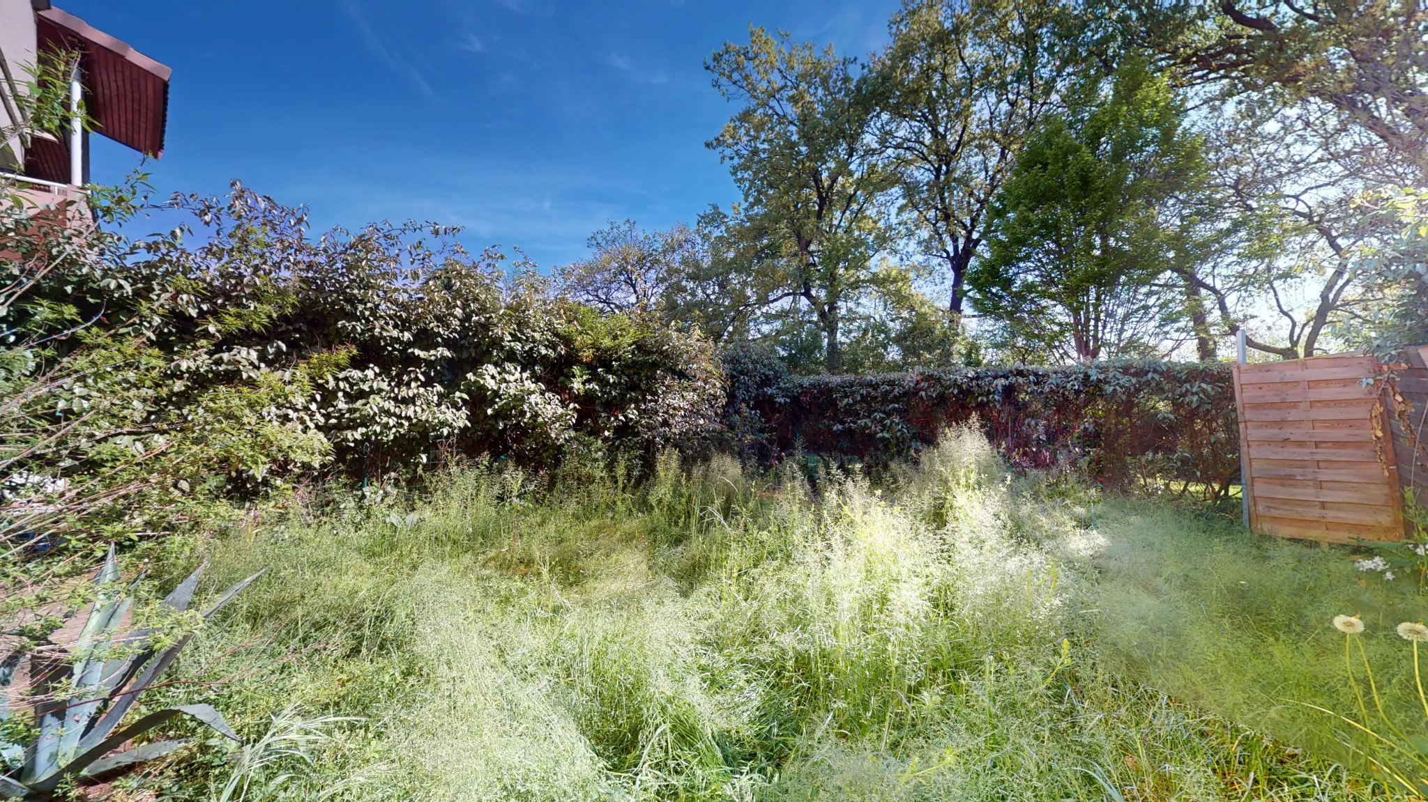 Appartement T2 avec terrasse et jardin à Fenouillet près de Toulouse 