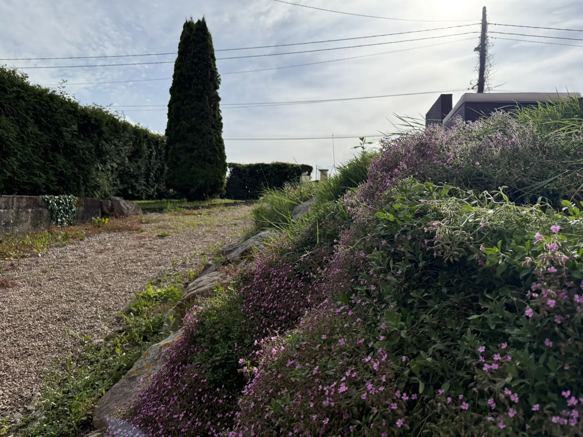 Maison familiale de 110 m² à Saint-Pierre-en-Auge avec jardin et sous-sol 