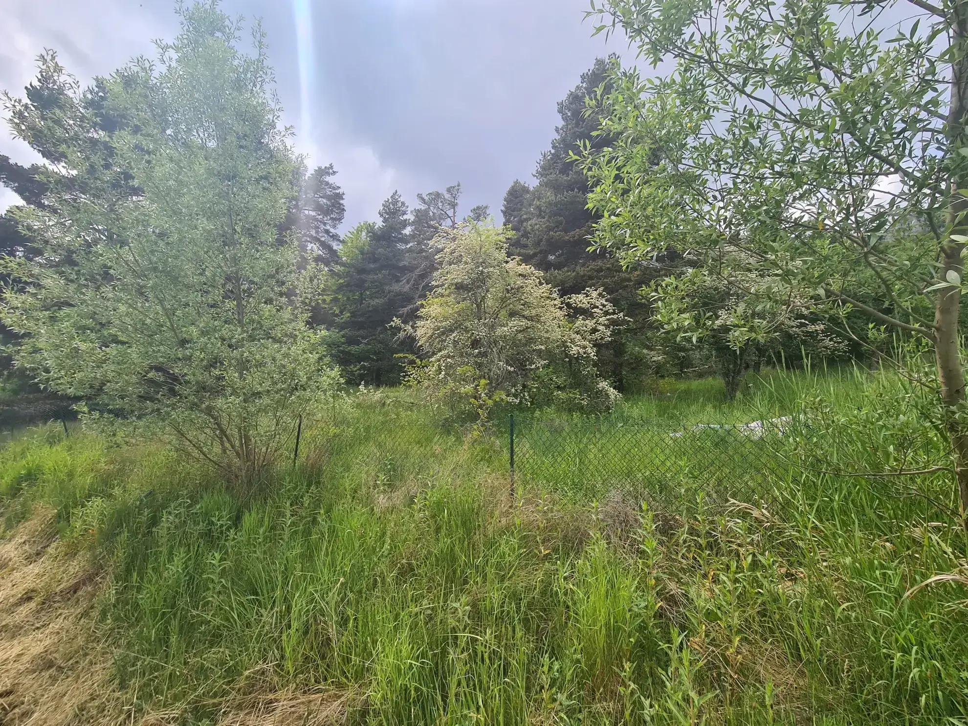 Terrain à vendre de 1896 m² à Andon, secteur Tauran en montagne 