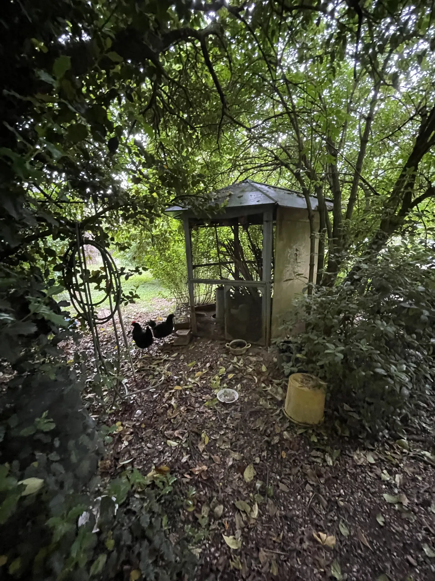 Maison en pierre avec dépendance et terrain arboré à Generargues 