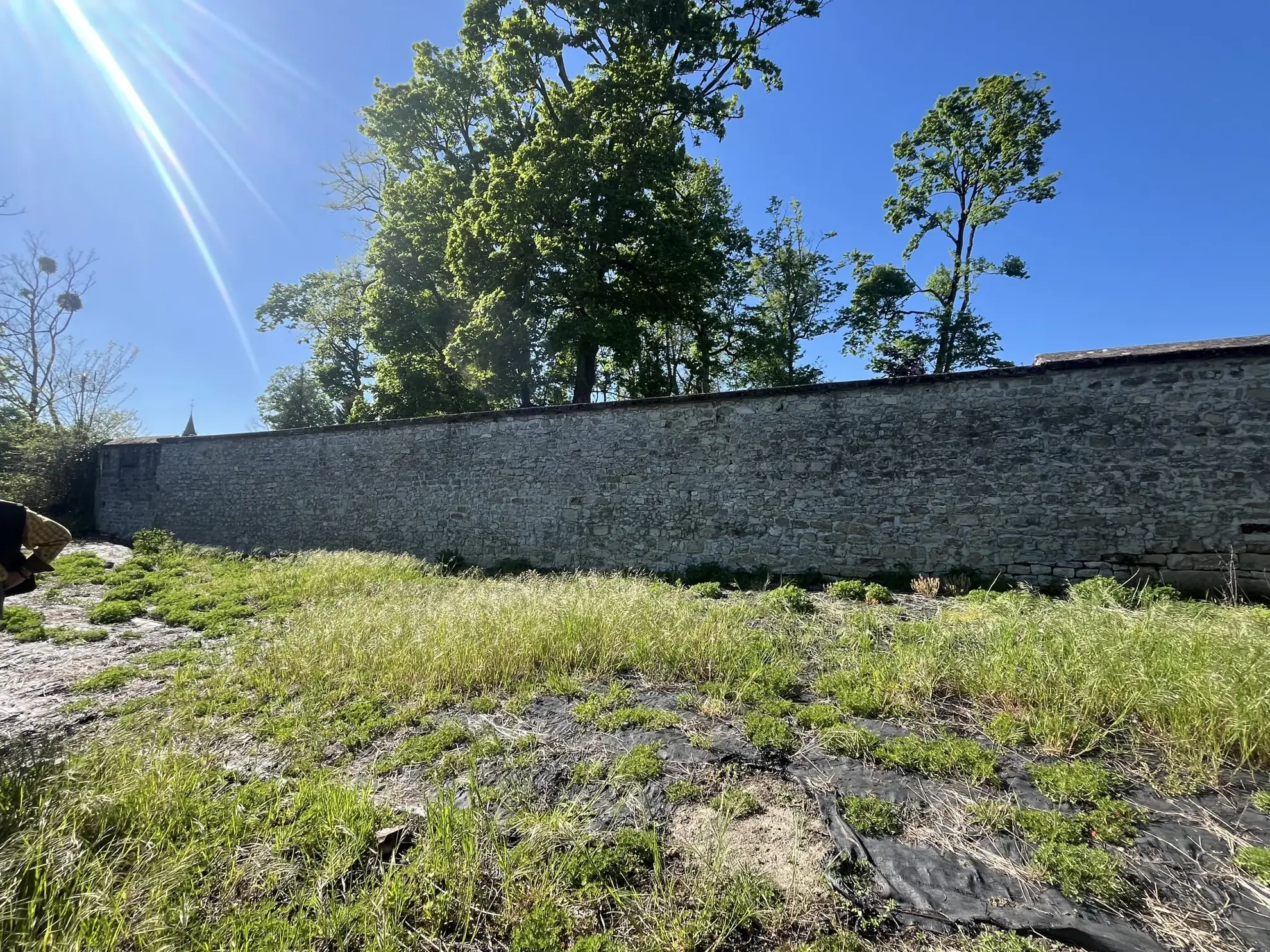 Charmante maison de ville 186 m² avec jardin et vue dégagée à Bourbonne-les-Bains 