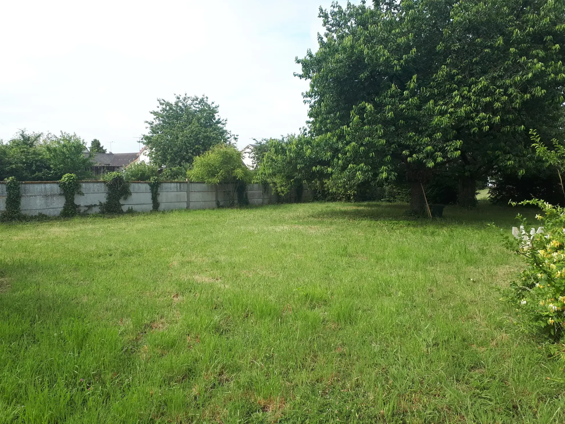 Maison d'architecte de 97 m² avec jardin à Les Ormes, proche Poitiers 