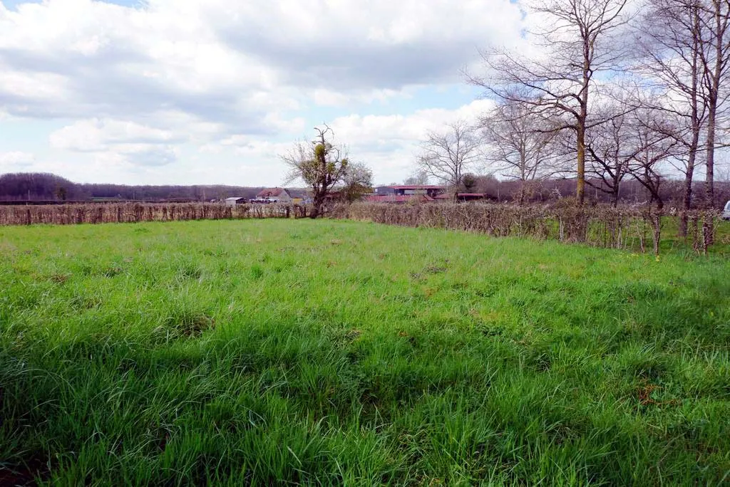 Terrain constructible de 2 347 m² proche de Paray le Monial 