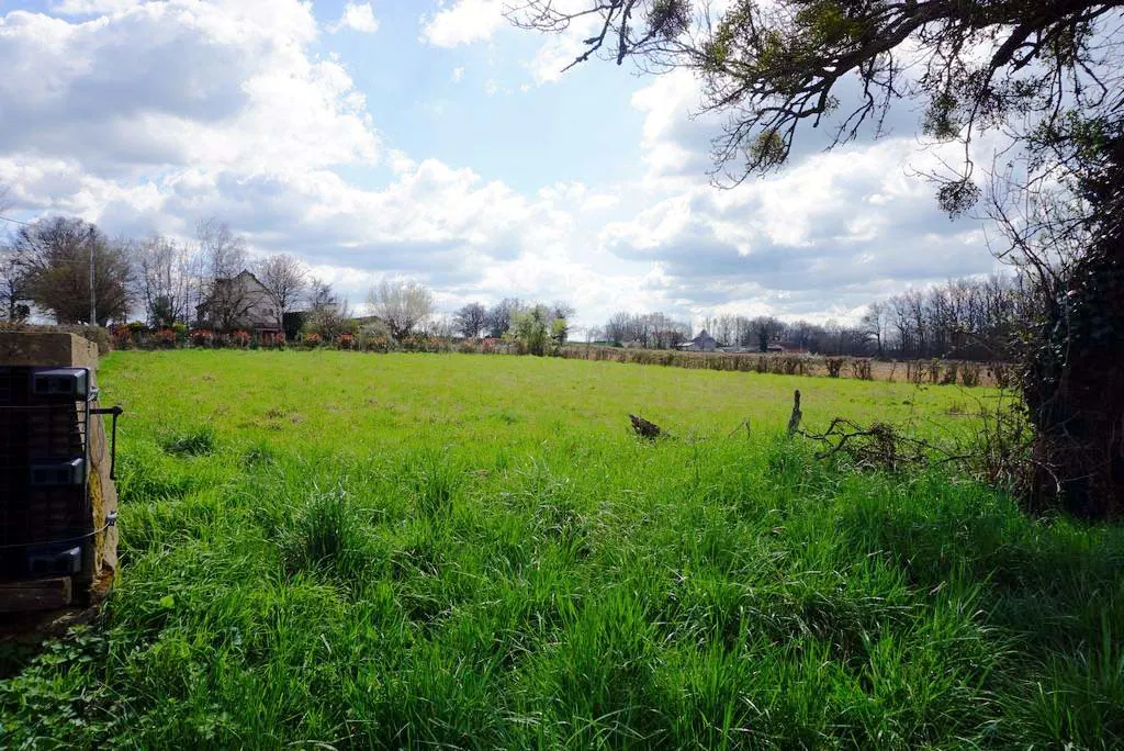 Terrain constructible de 2 347 m² proche de Paray le Monial 