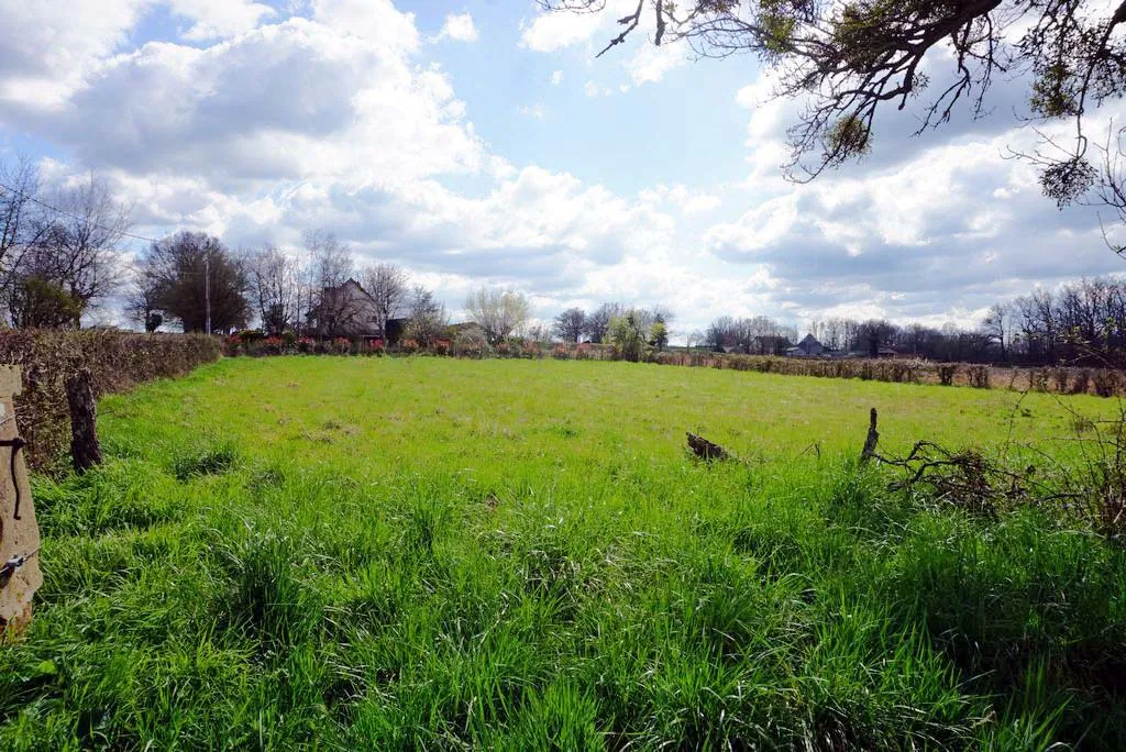 Terrain constructible de 2 347 m² proche de Paray le Monial 