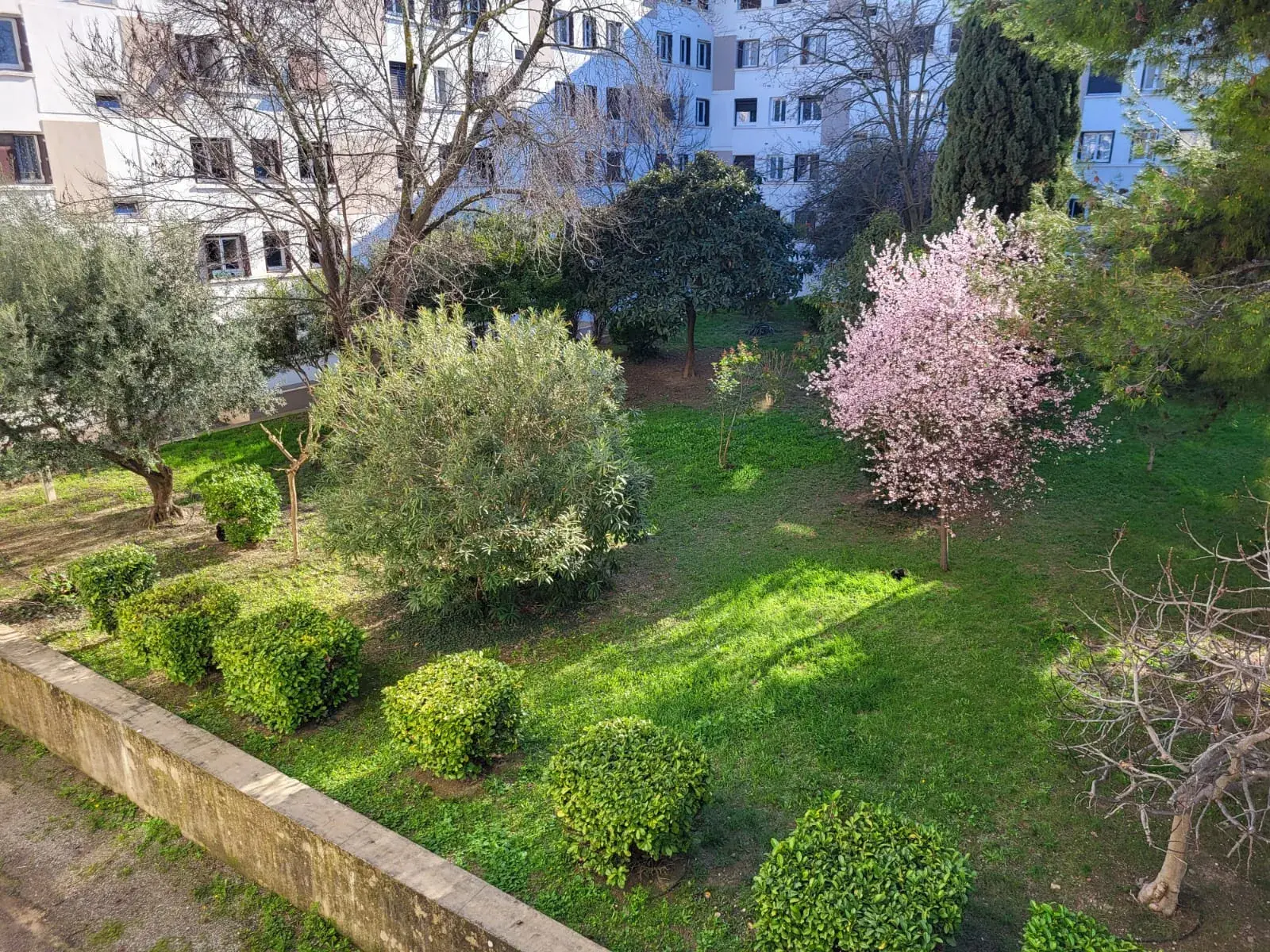 Achat appartement T3 de 61 m² à Montpellier avec balcon, proche commerces et transports 