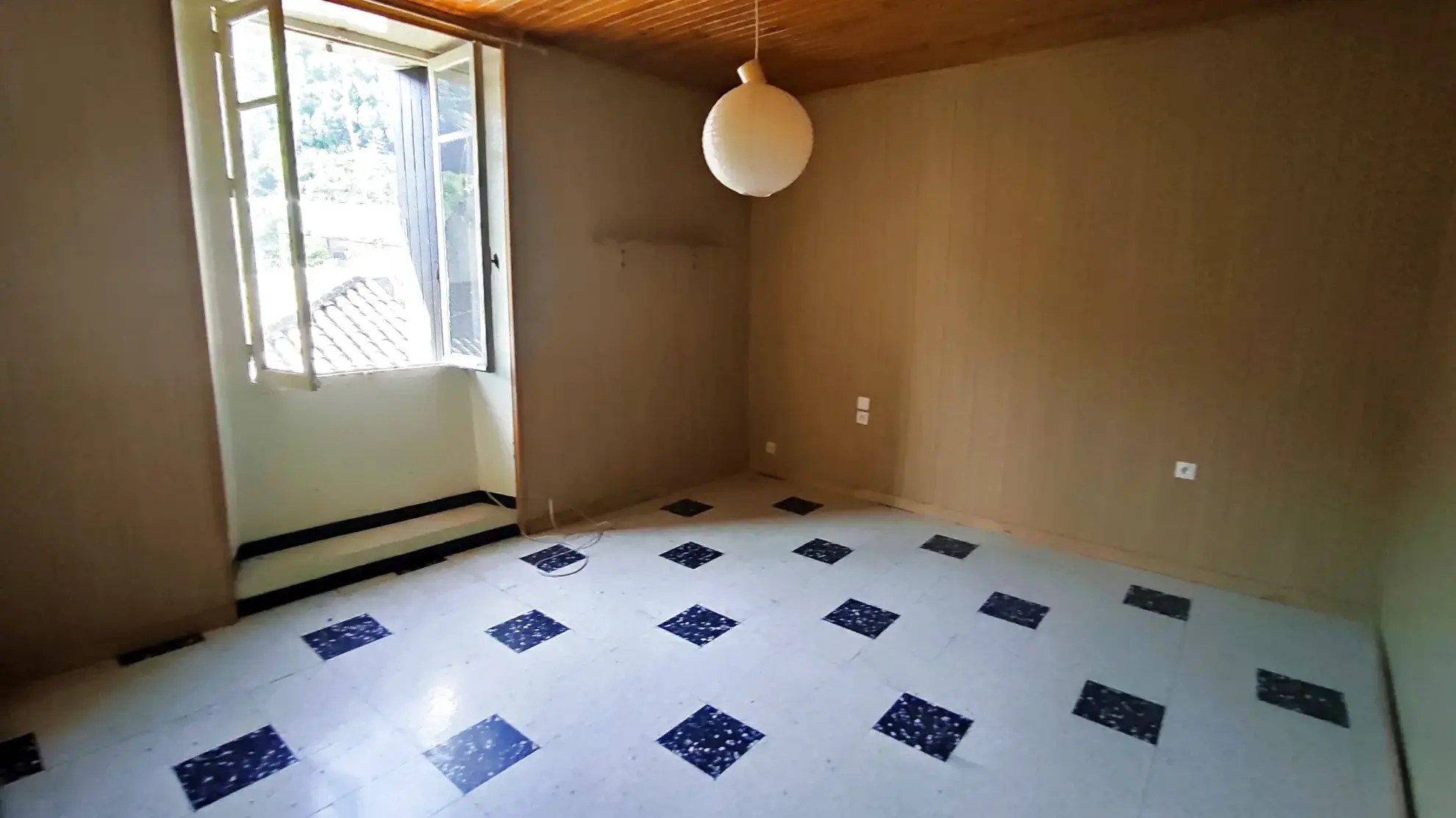 Investissement immobilier à Besseges : immeuble de 290 m² avec commerces et appartements 