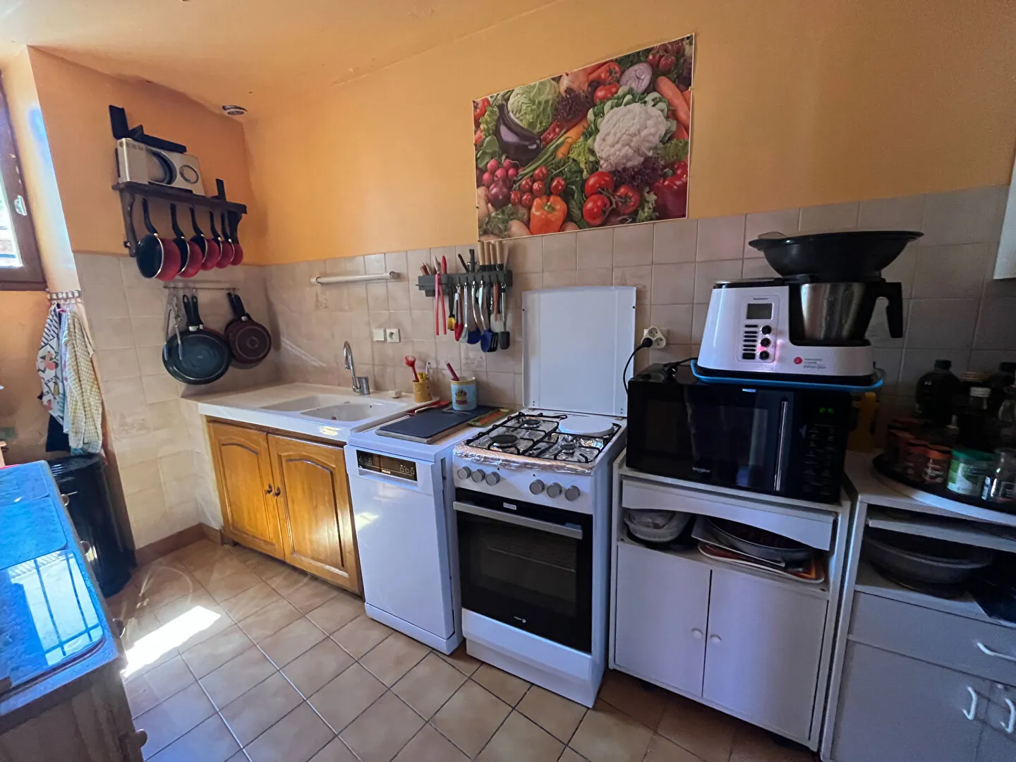 Maison en viager avec deux appartements indépendants à Savines-le-Lac 