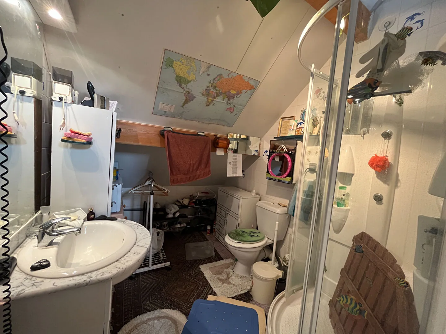 Maison en viager avec deux appartements indépendants à Savines-le-Lac 