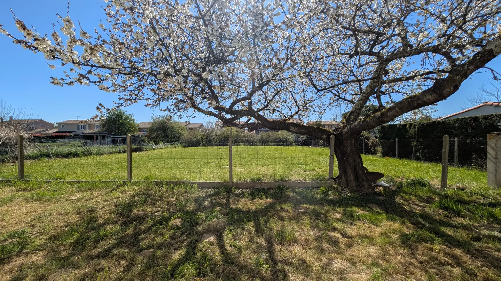 Terrain constructible de 931 m² à Daux, proche Mondonville 