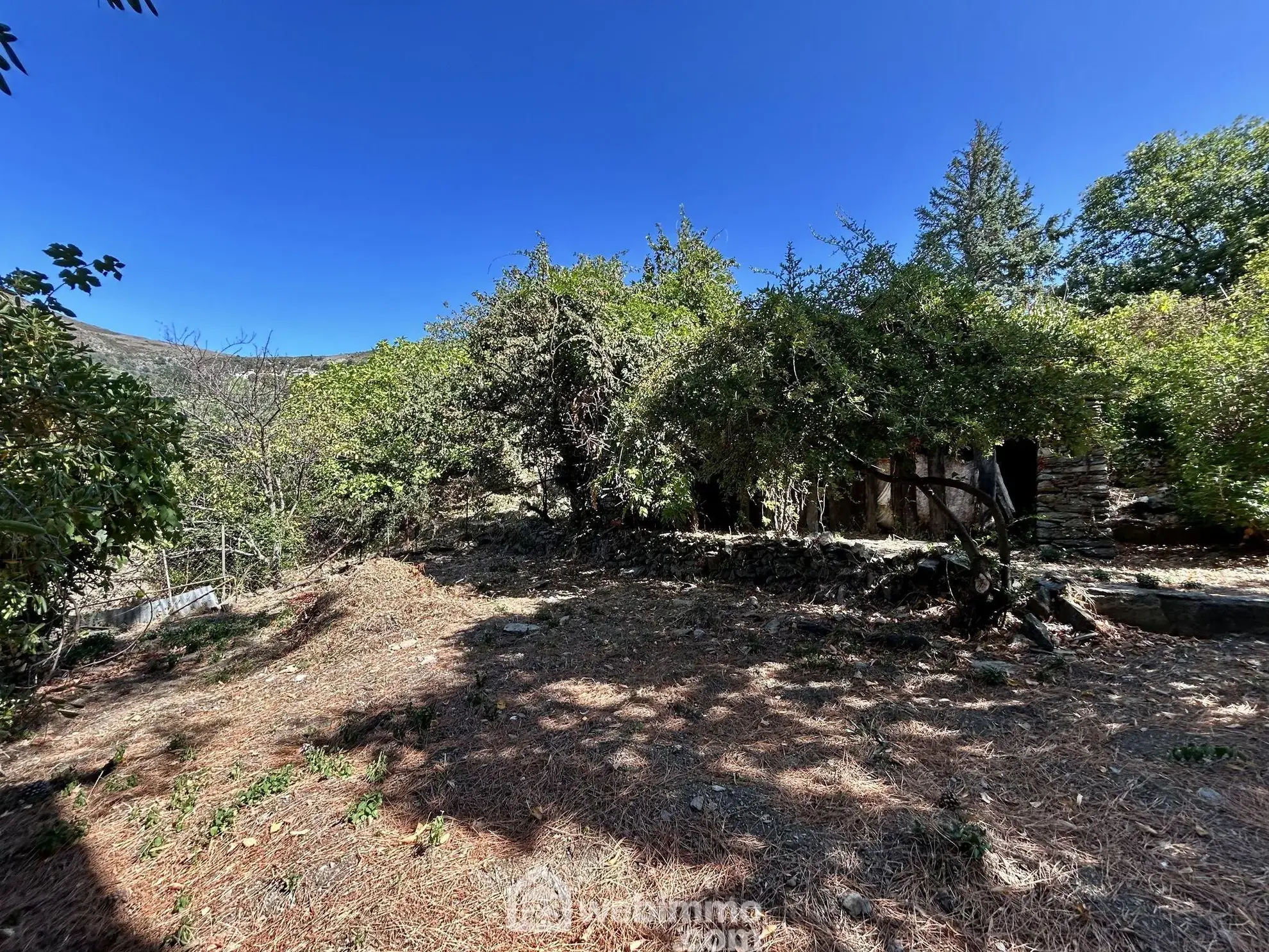 A vendre maison de village de 90 m² avec terrasse à Bigorno, Vue sur la vallée du Golo 