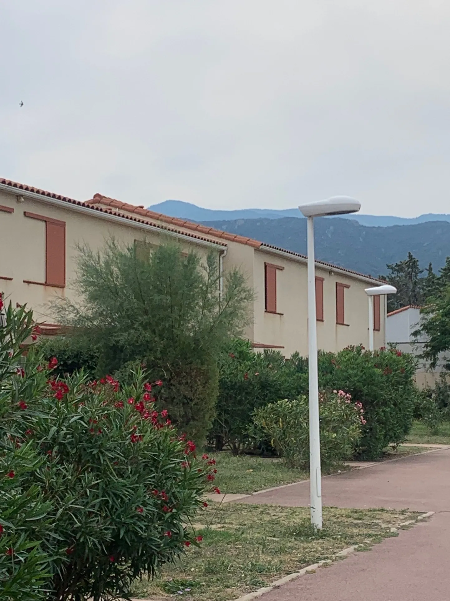 Villa récente à vendre à Argelès-sur-Mer avec piscine et terrasse 