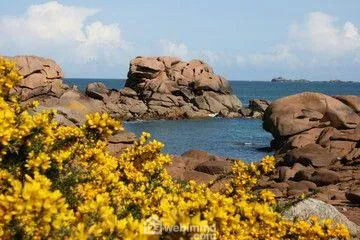 Fonds de commerce à vendre à Pleumeur-Bodou, emplacement privilégié 