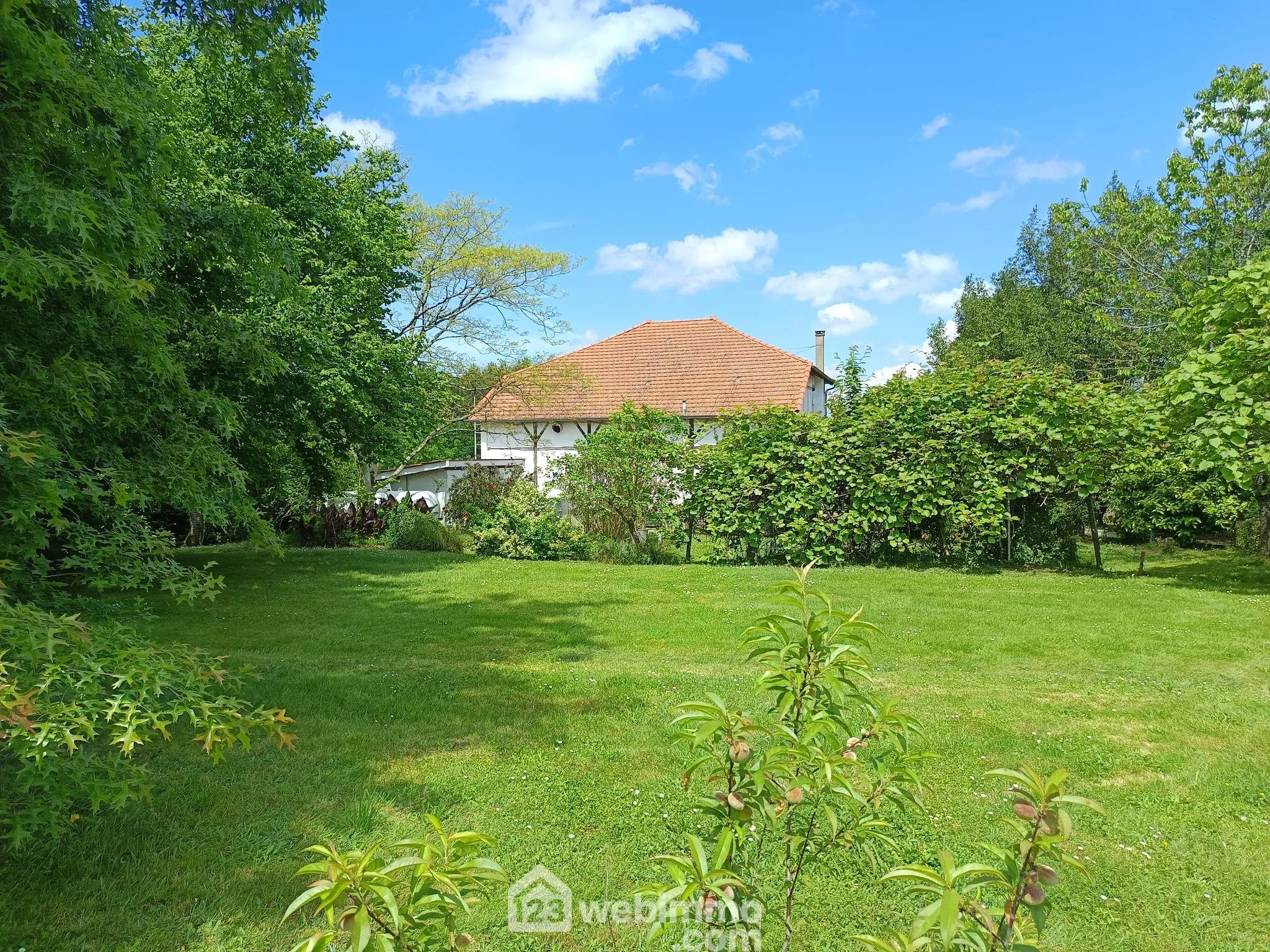 Belle maison à Brassempouy avec grand volume et terrain de 2524 m² 