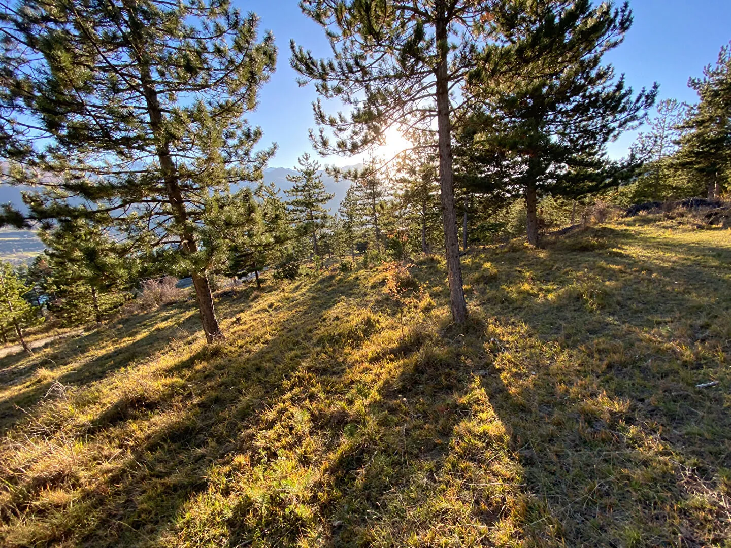 Terrain constructible de 1741 m² à vendre à Embrun - Opportunité rare 