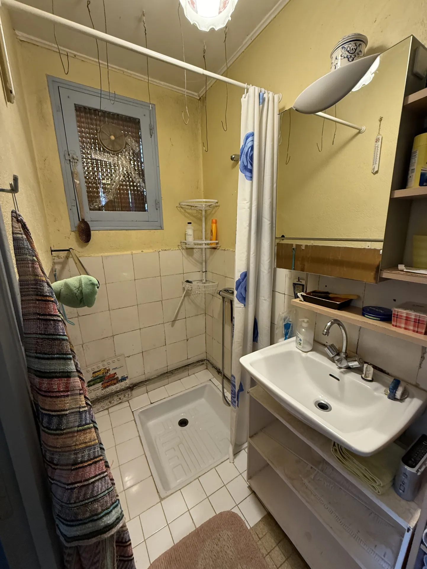 Ferme de plain-pied à rénover à Brugheas, terrain clos de 1000 m² 