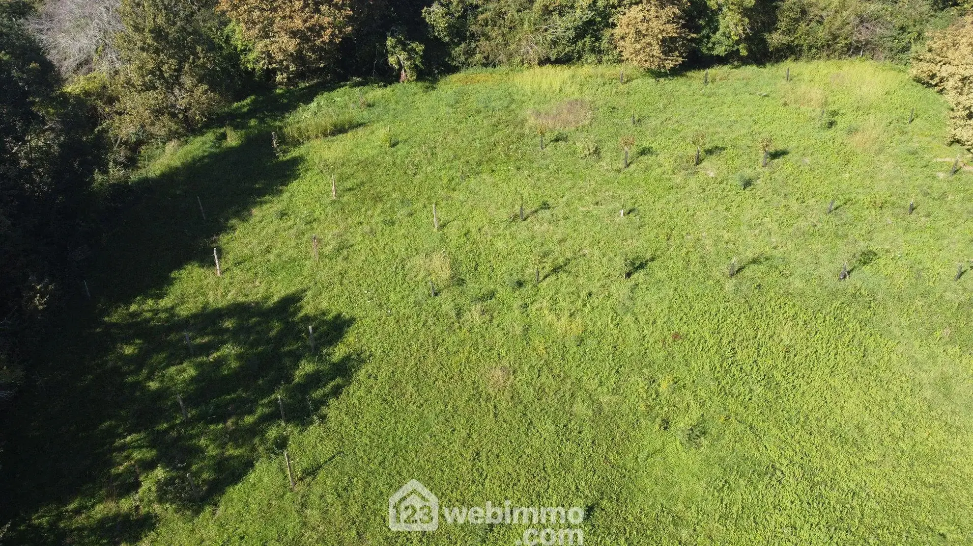 Belle maison de 220 m² avec dépendances, terrain de 7100 m² près de Pau et Compostelle 