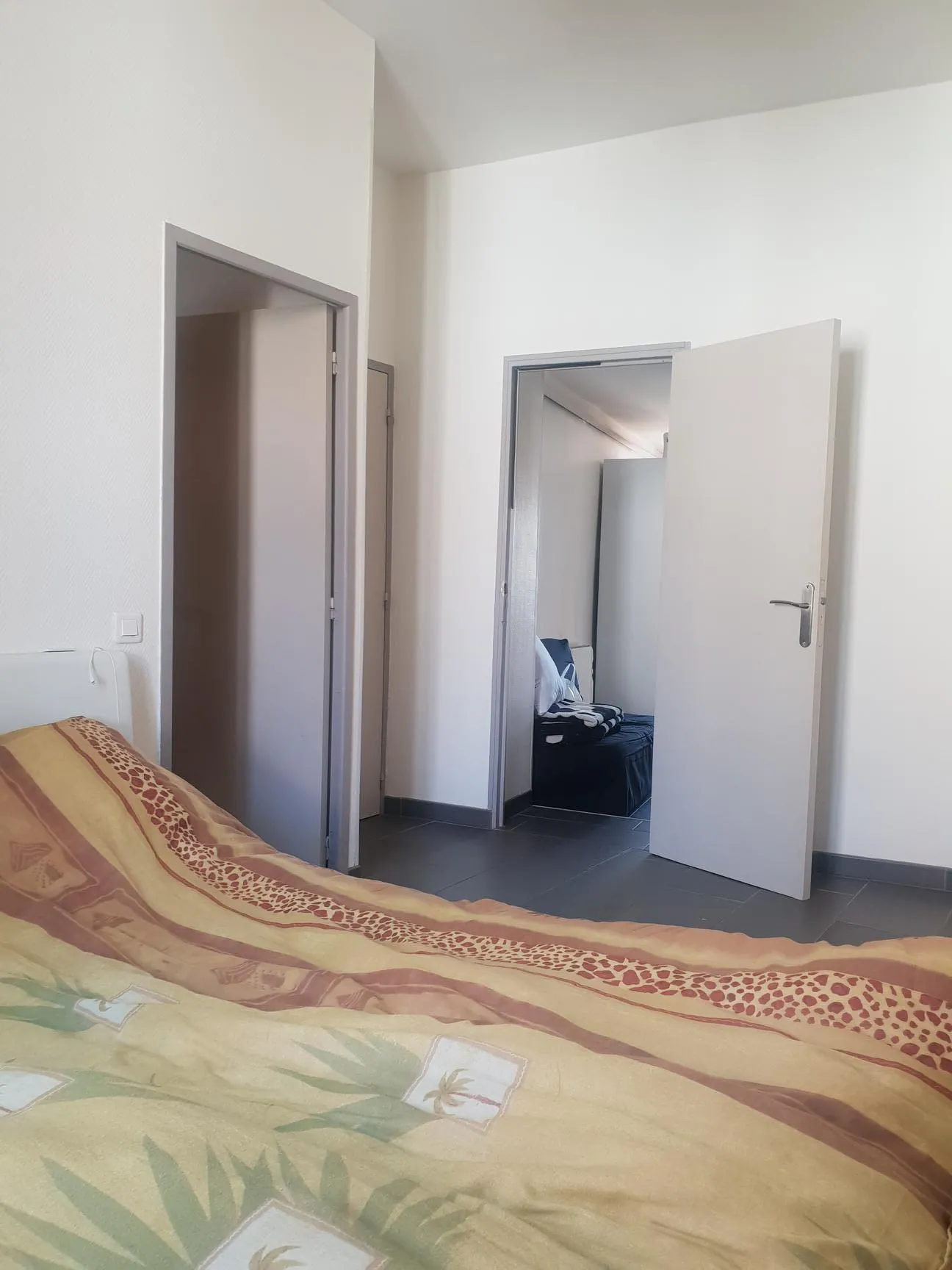 Appartement T2 rénové de 34 m² à Perpignan avec vue sur le Canigou 