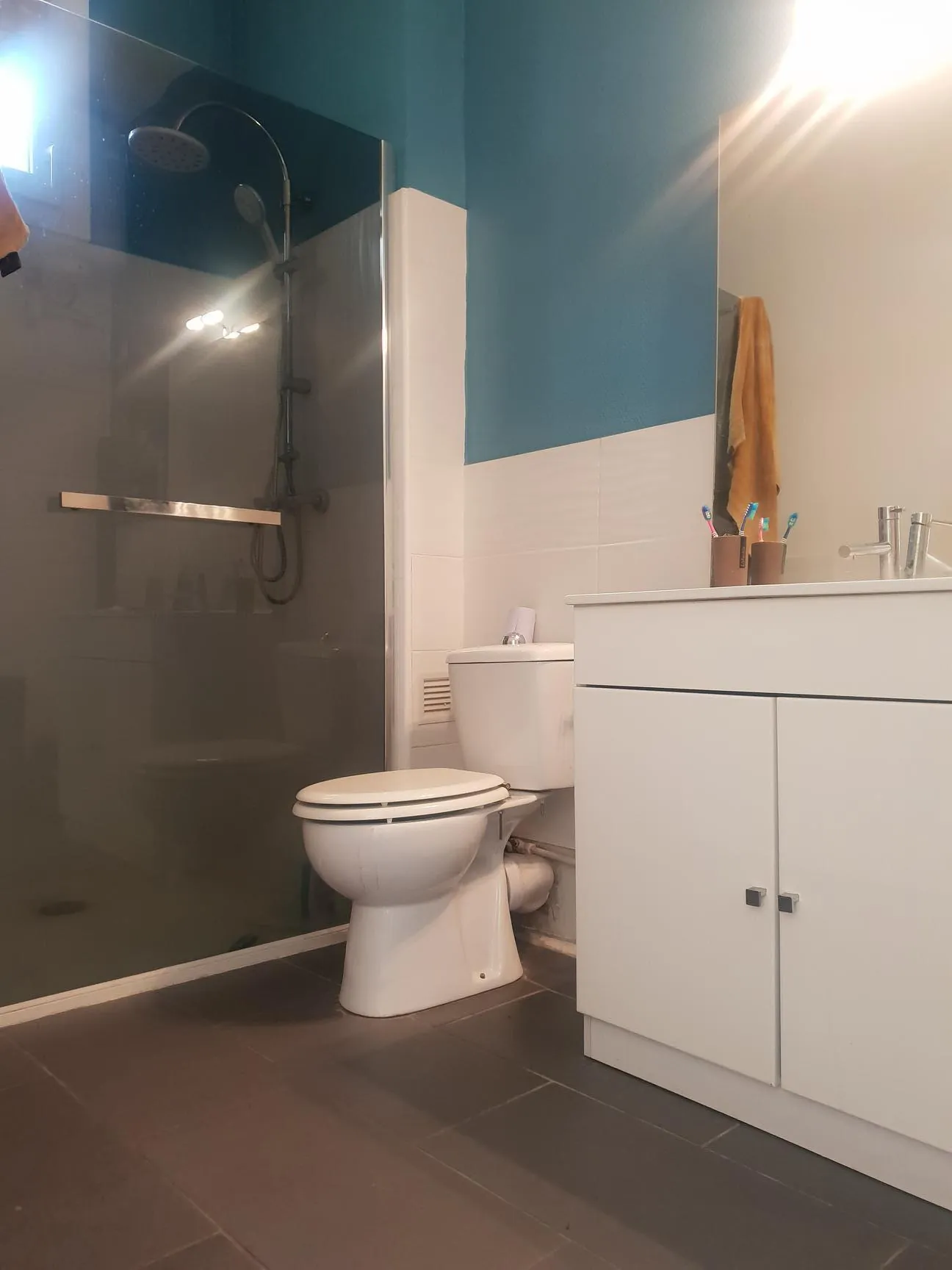 Appartement T2 rénové de 34 m² à Perpignan avec vue sur le Canigou 