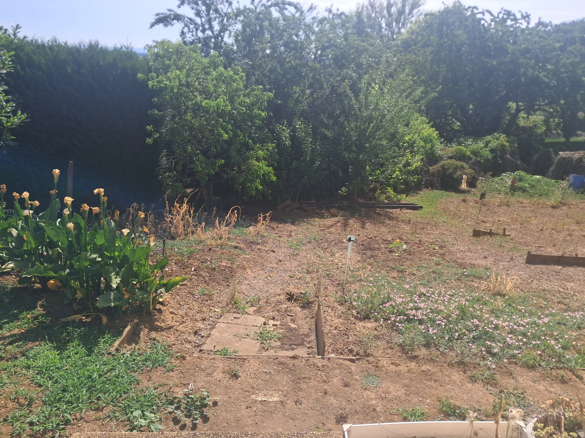 Maison familiale de 163 m² à Arnac-Pompadour avec jardin et espaces confortables 