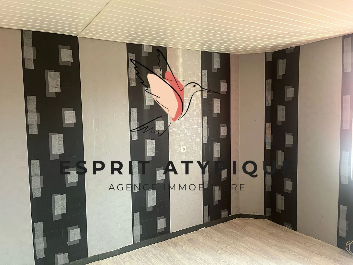 Immeuble mixte de 173 m² à Rion des Landes avec potentiel locatif 