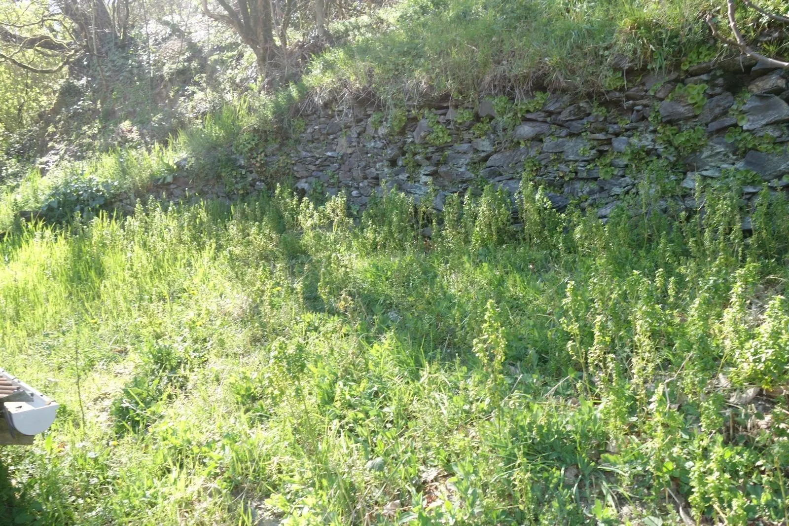 Maison ancienne de 78 m² avec garage à Vabre (81330) 