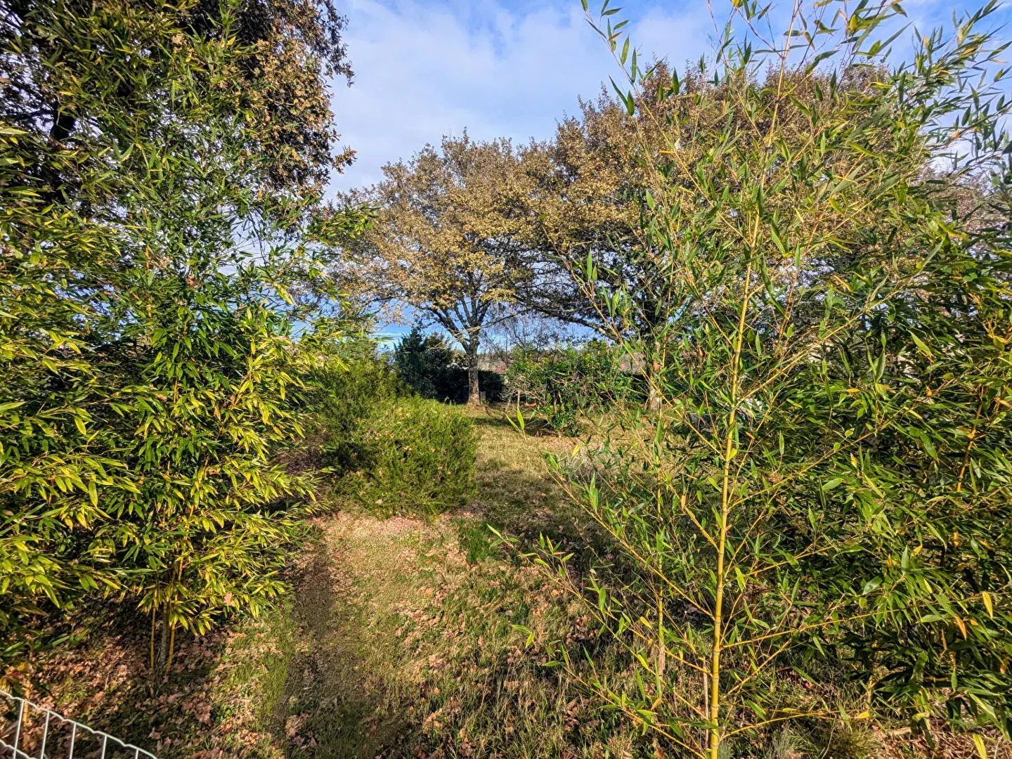 Maison 5 pièces à Escource - 101,96 m² avec jardin et environnement calme 