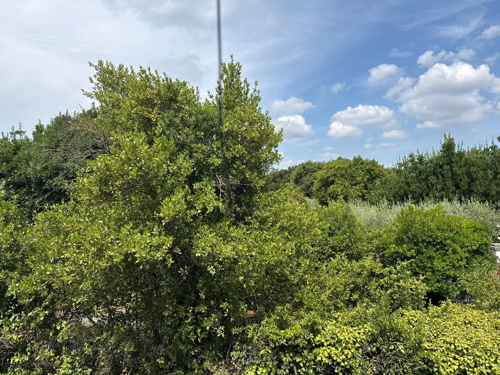 Maison de 125 m² avec garages et potentiel de rénovation à Calvisson 