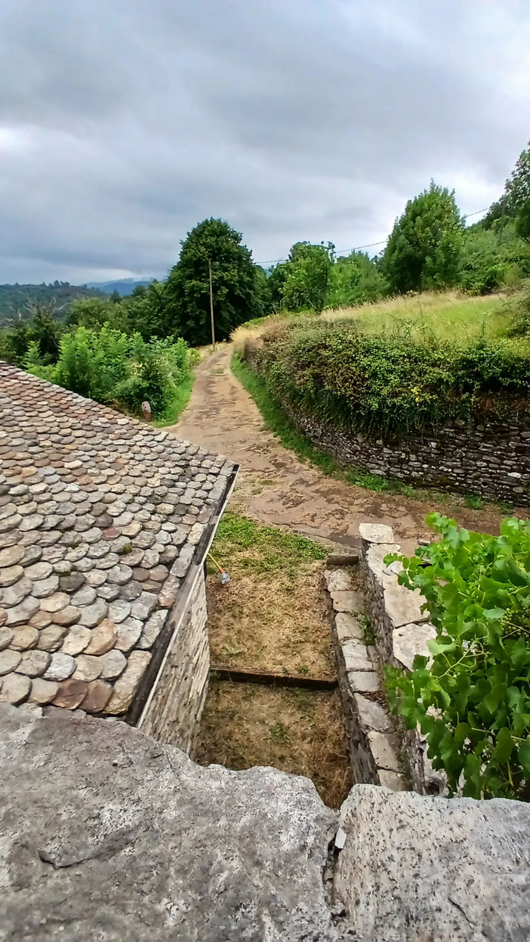 Charmante maison cévenole avec grand terrain et vue imprenable à Saint Frezal de Ventalon 