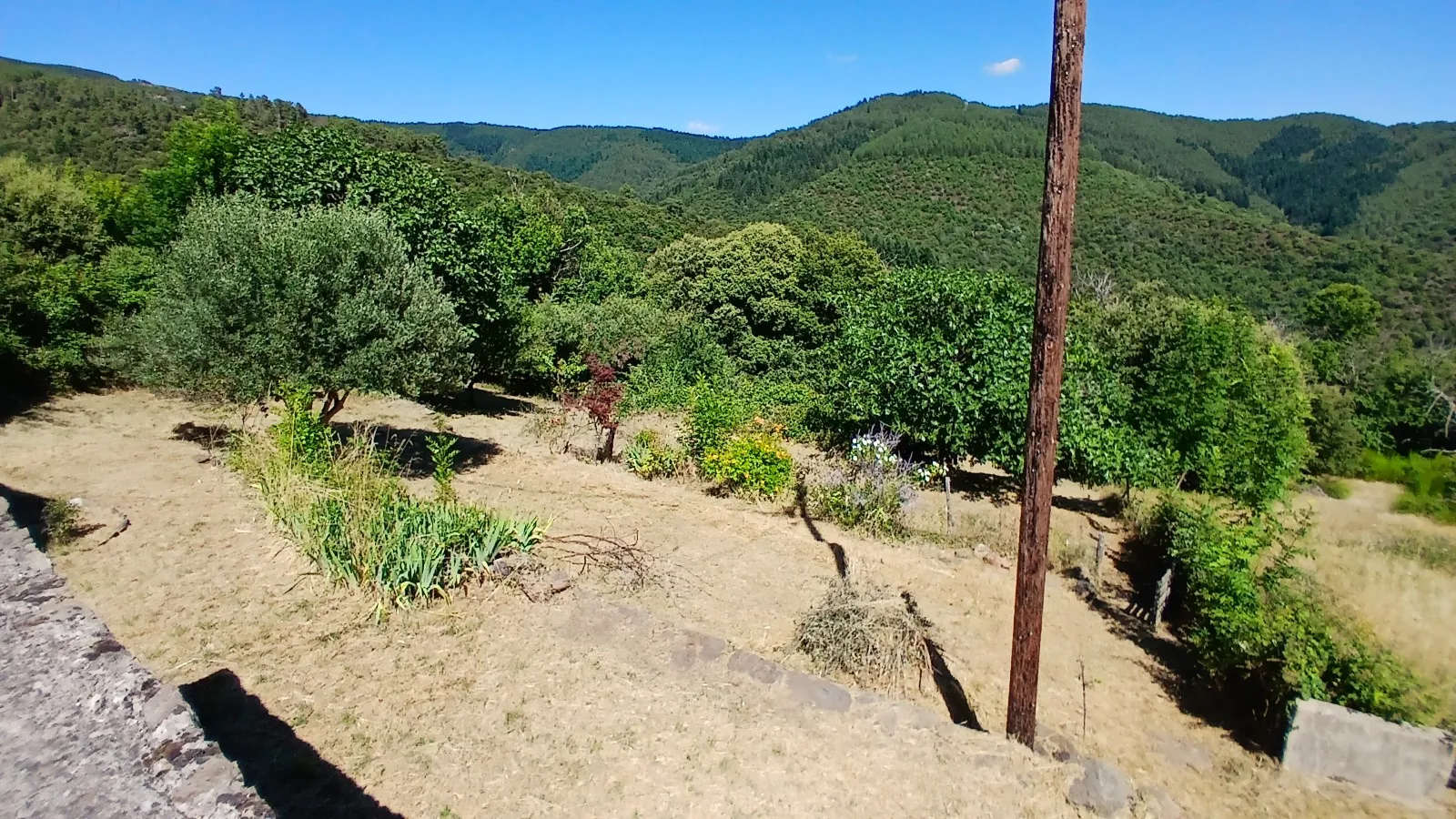 Charmante maison cévenole avec grand terrain et vue imprenable à Saint Frezal de Ventalon 