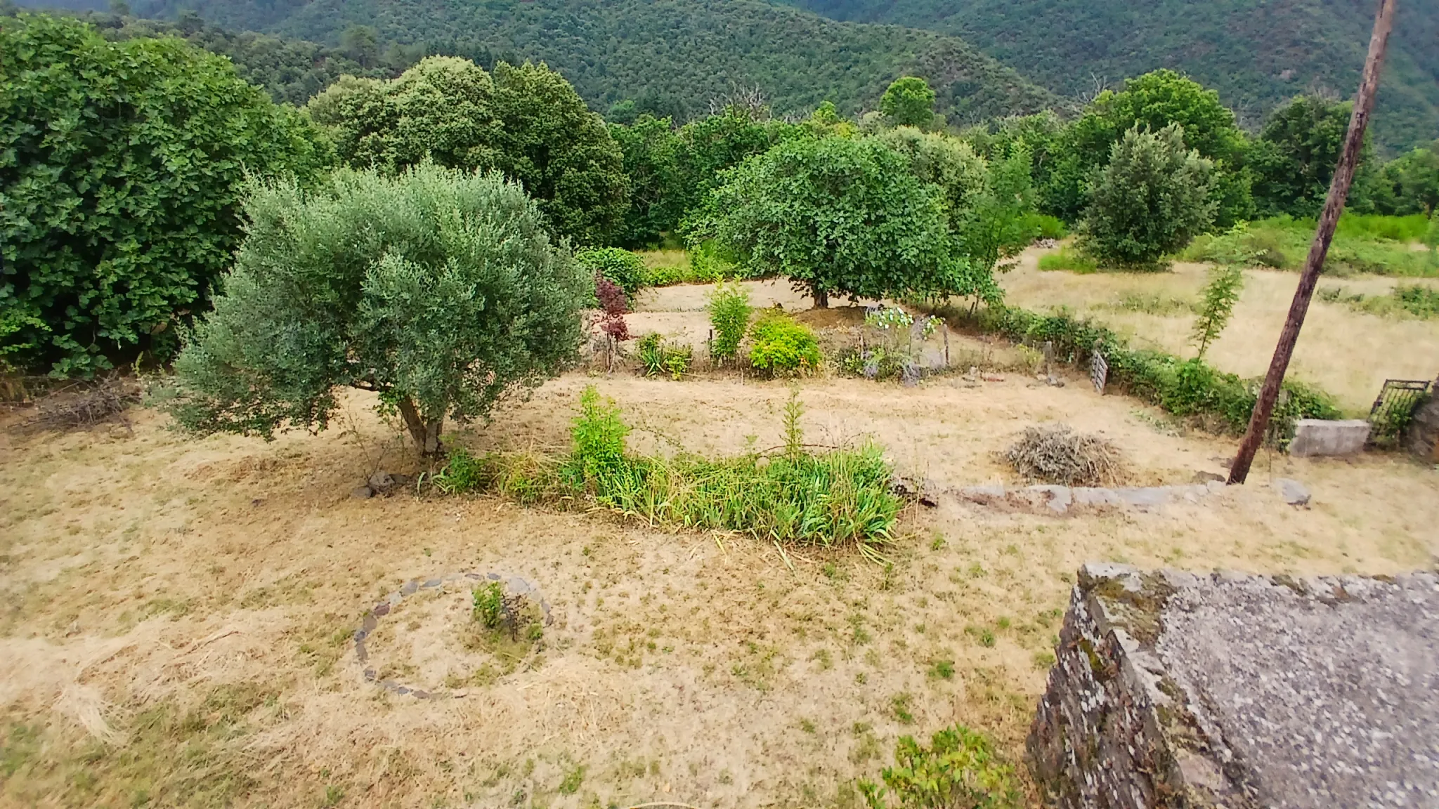 Charmante maison cévenole avec grand terrain et vue imprenable à Saint Frezal de Ventalon 