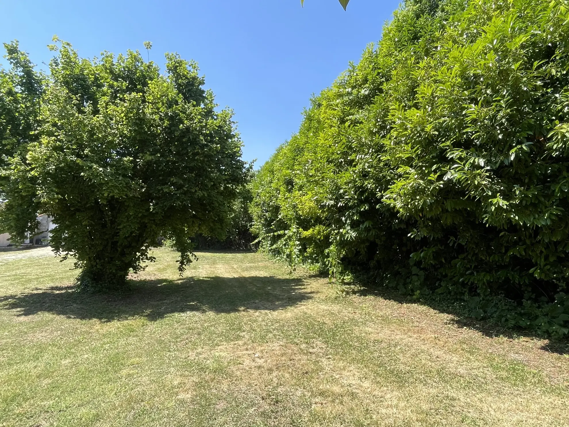 Maison ancienne à rénover avec grand terrain à Aigrefeuille d'Aunis 