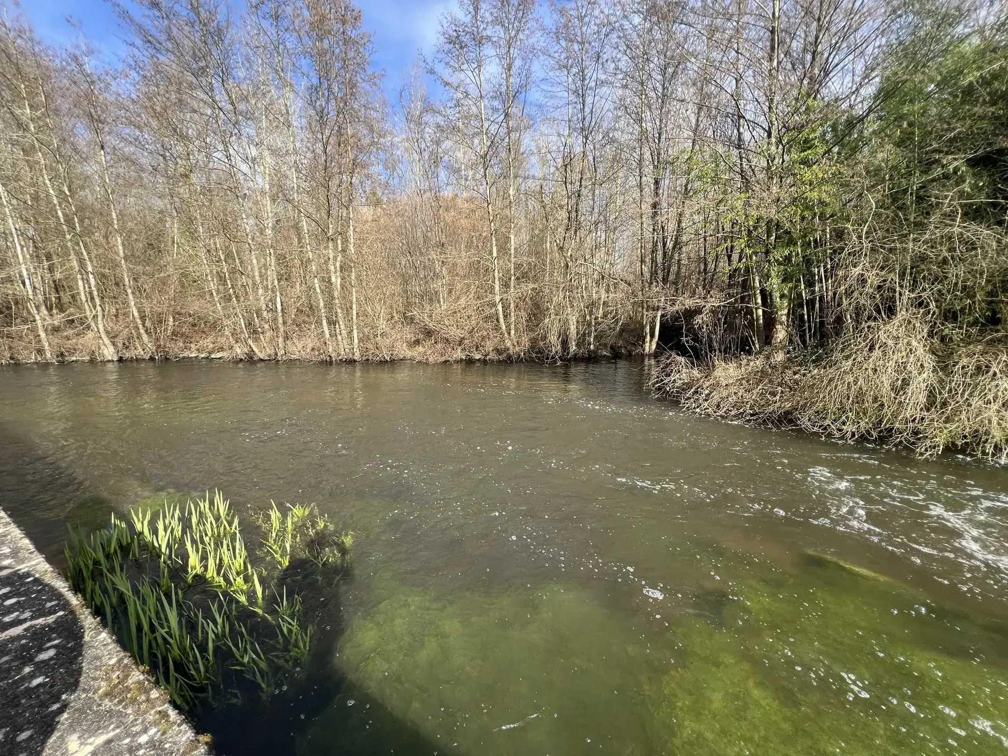 Appartement T2 avec parking et parc à Boutigny-sur-Essonne 