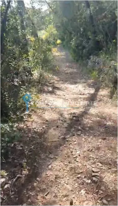 Lot de deux terrains boisés non constructibles à Flayosc, zone naturelle 