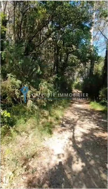 Lot de deux terrains boisés non constructibles à Flayosc, zone naturelle 