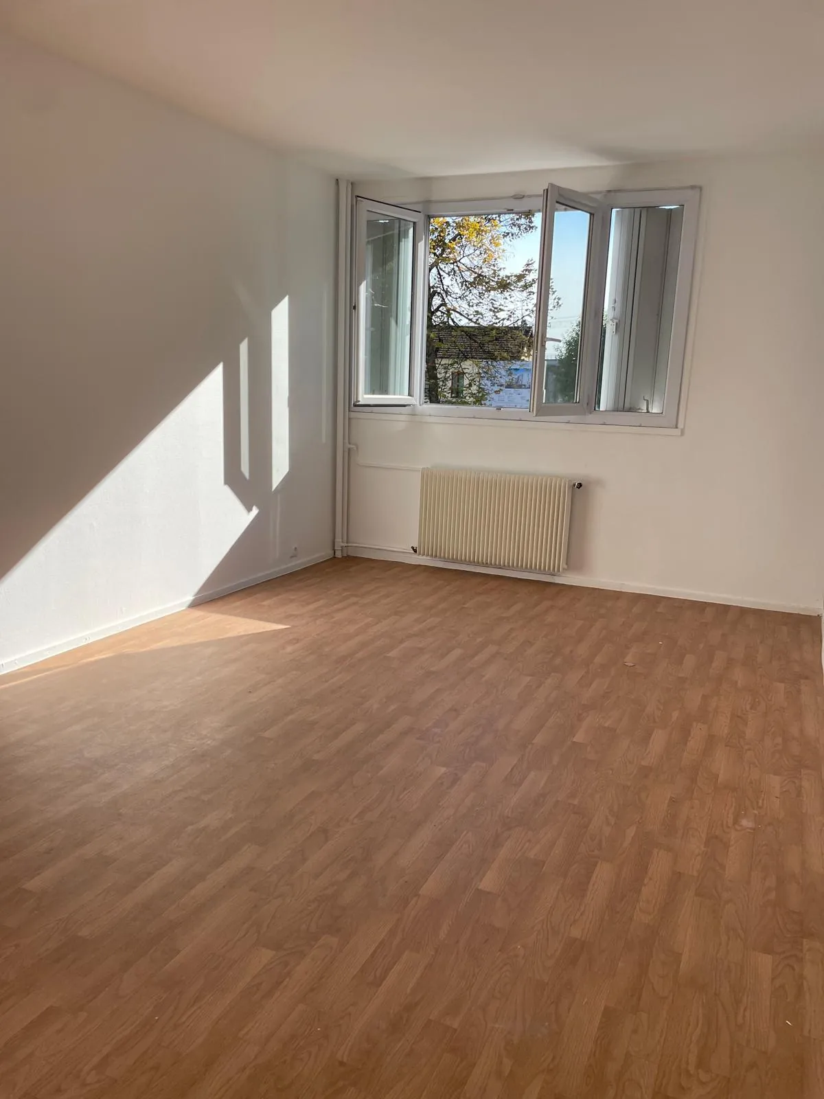 Appartement F3 lumineux de 56,63 m² à Joinville-le-Pont avec balcon et cave 