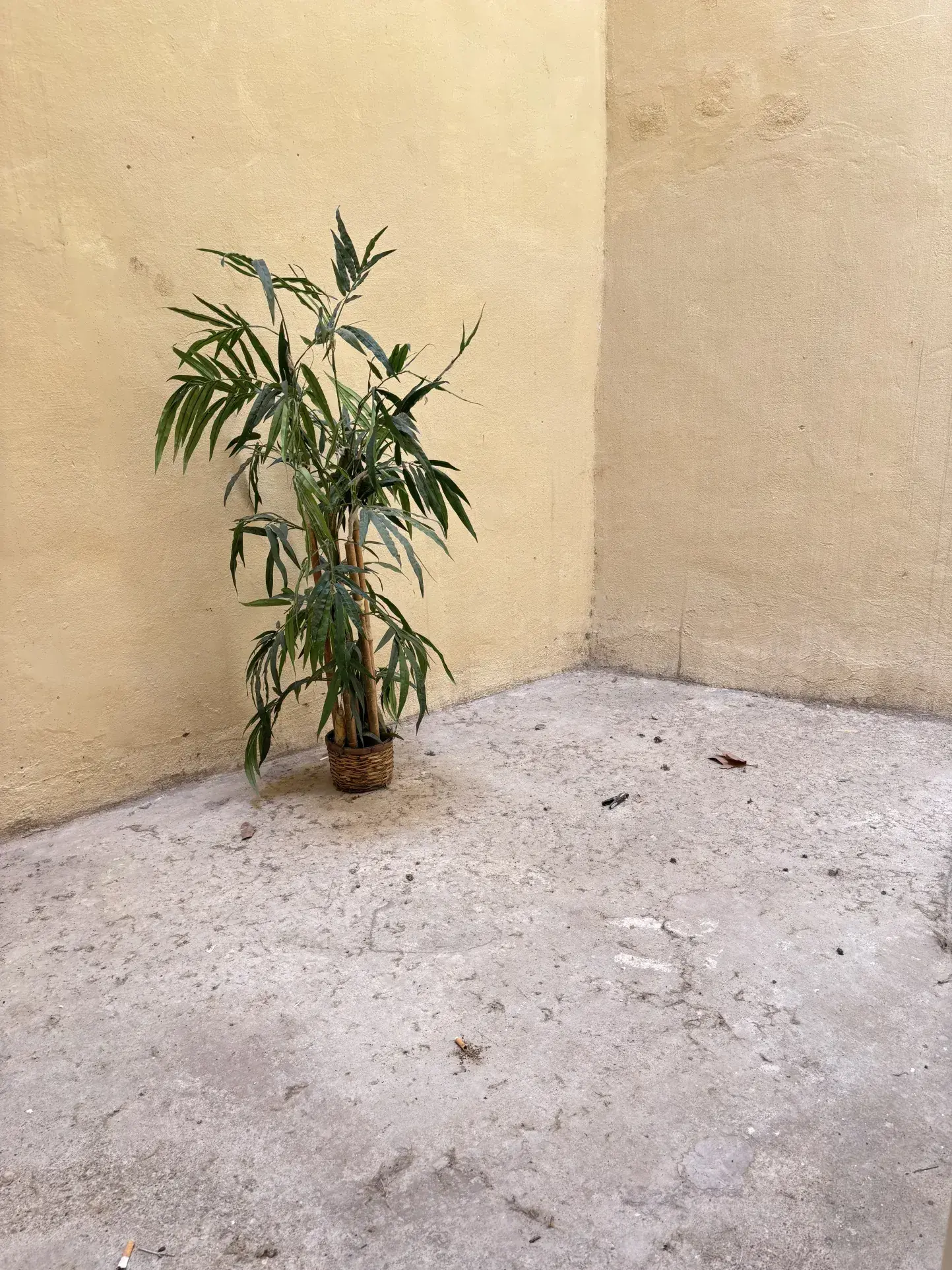 Appartement 3 pièces à vendre à Montpellier Ecusson – 70 m² avec potentiel 