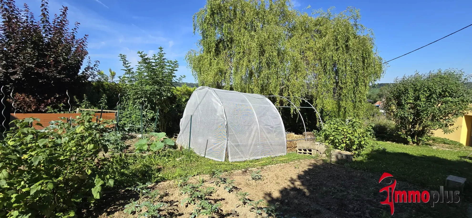 Charmante maison de plain-pied de 98 m² avec jardin à Michelbach-le-Haut 